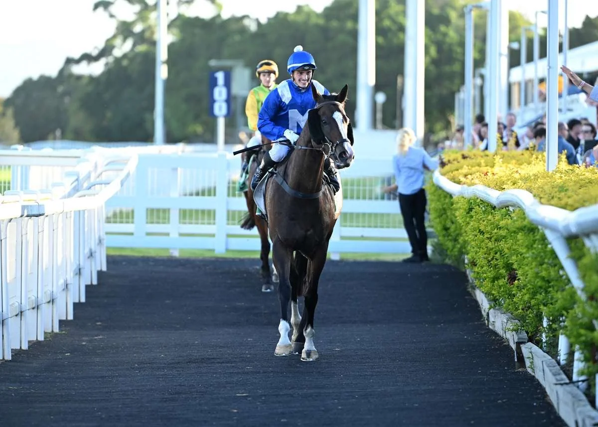 Mister Bianco Scores Gritty Gold Coast Victory