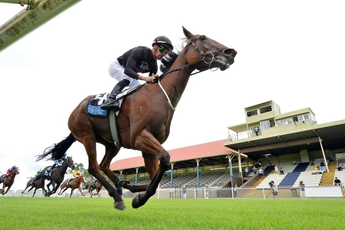 Hey Daisy Too Strong!