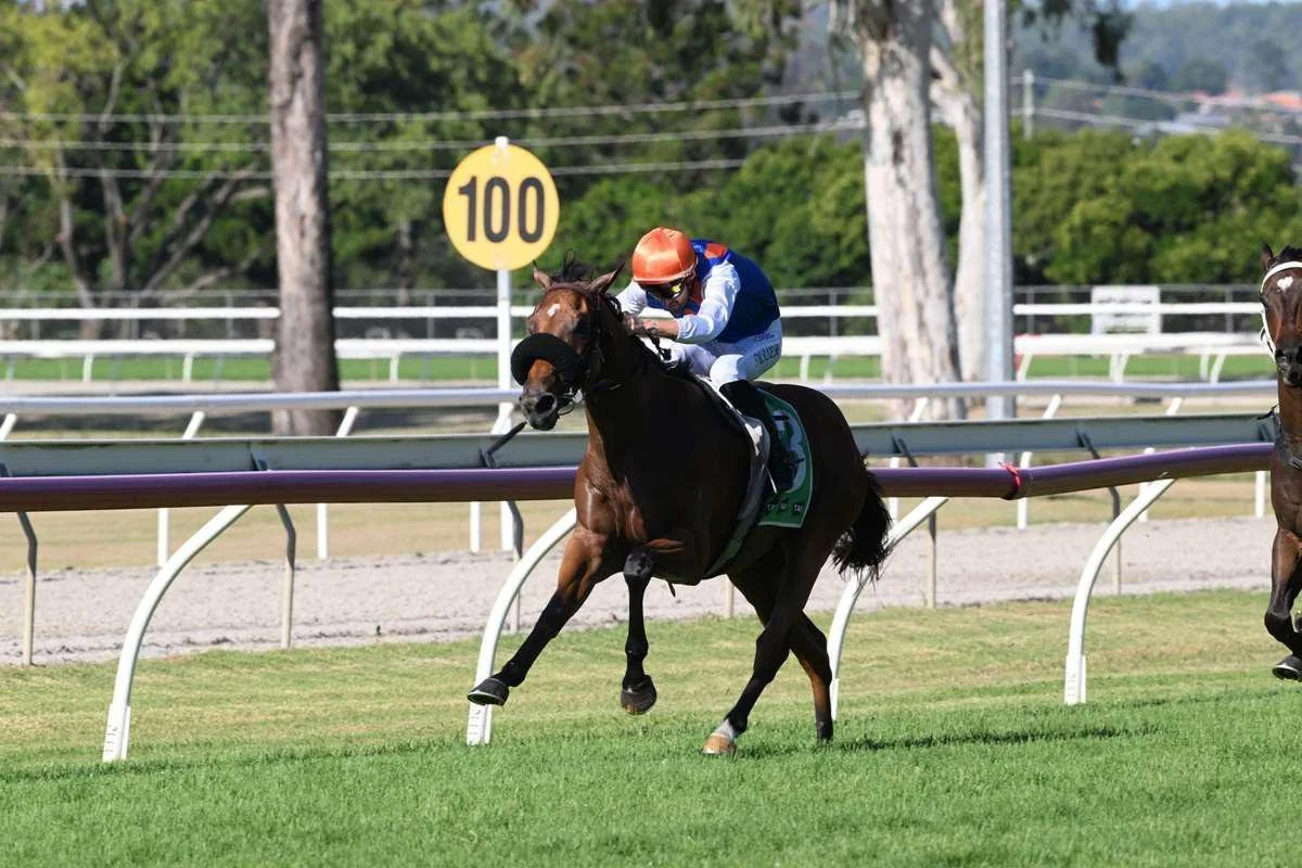 Statement of Truth Gets the Job Done at Beaudesert