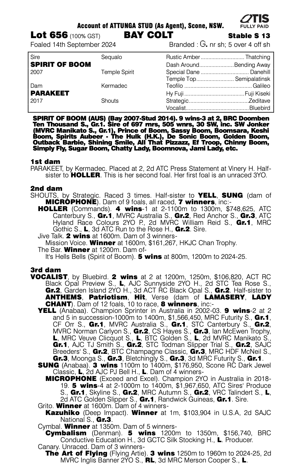 Screenshot 2026-02-26 at 6.21.22 am.png