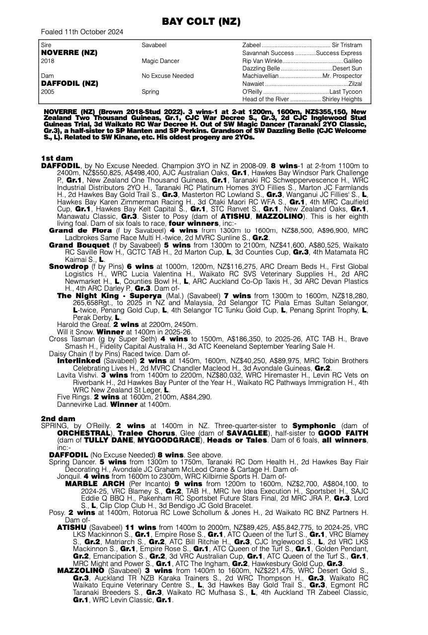 Screenshot 2026-02-26 at 6.42.29 am.png