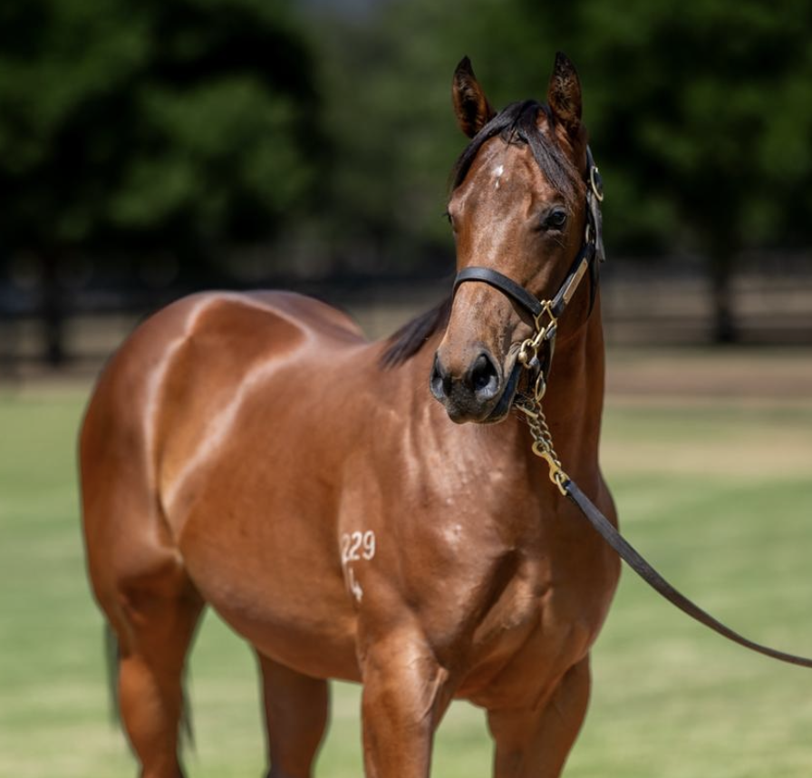 Screenshot 2026-02-25 at 12.21.58 pm.png