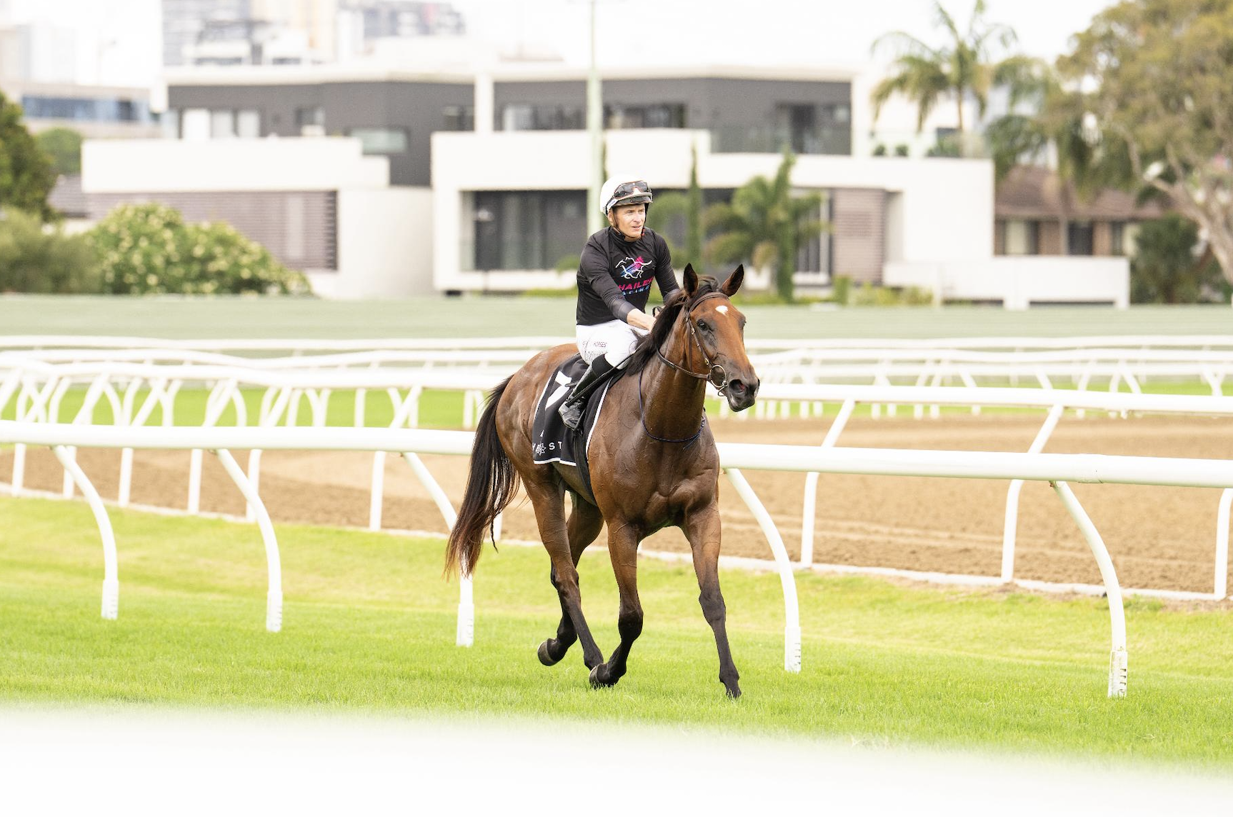 Screenshot 2026-02-26 at 7.52.27 am.png