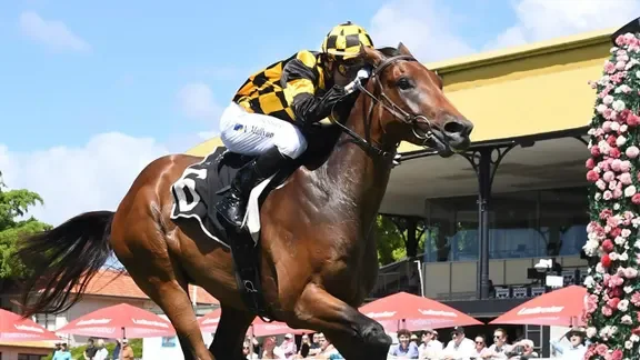 Silken Salute Makes Dream Debut at Eagle Farm