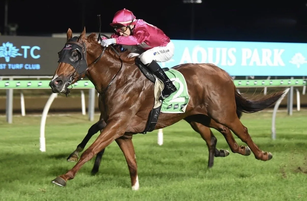 Certify Breaks Through with Strong Gold Coast Victory