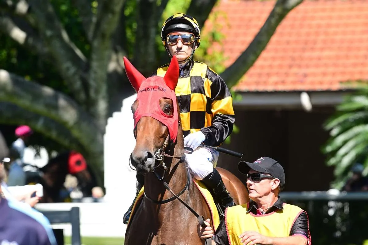Another 2YO Metro Winner for Shailer Racing as Silken Salute Goes Back-to-Back at Eagle Farm