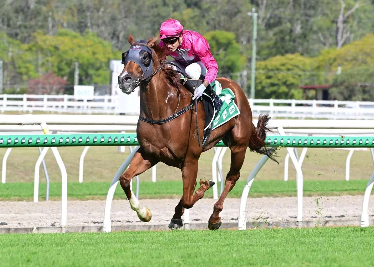 Certify Goes Back-to-Back with Impressive Ipswich Victory