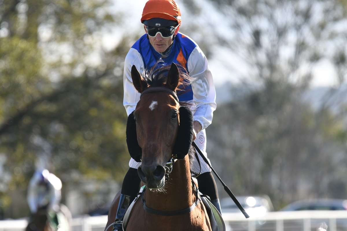 Statement Of Truth Returns to the Winner's Circle at Beaudesert