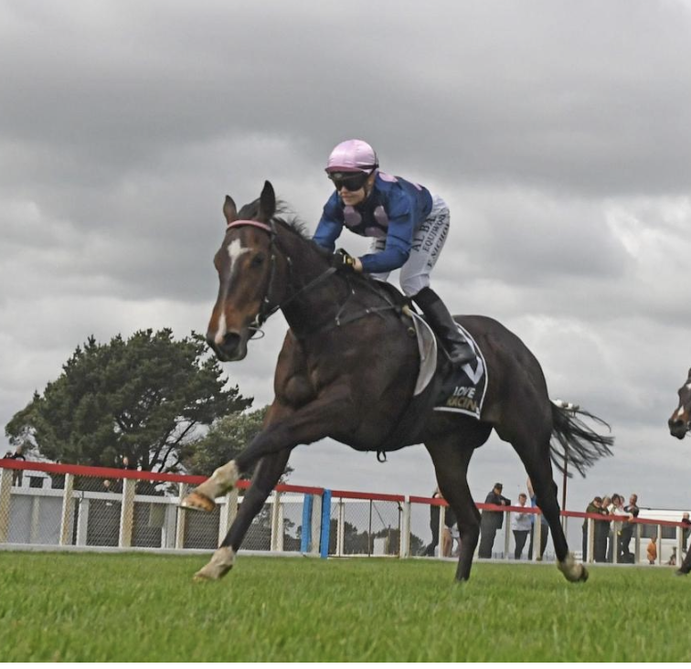 A jockey riding a horse during a horse race on a grass track under cloudy skies.