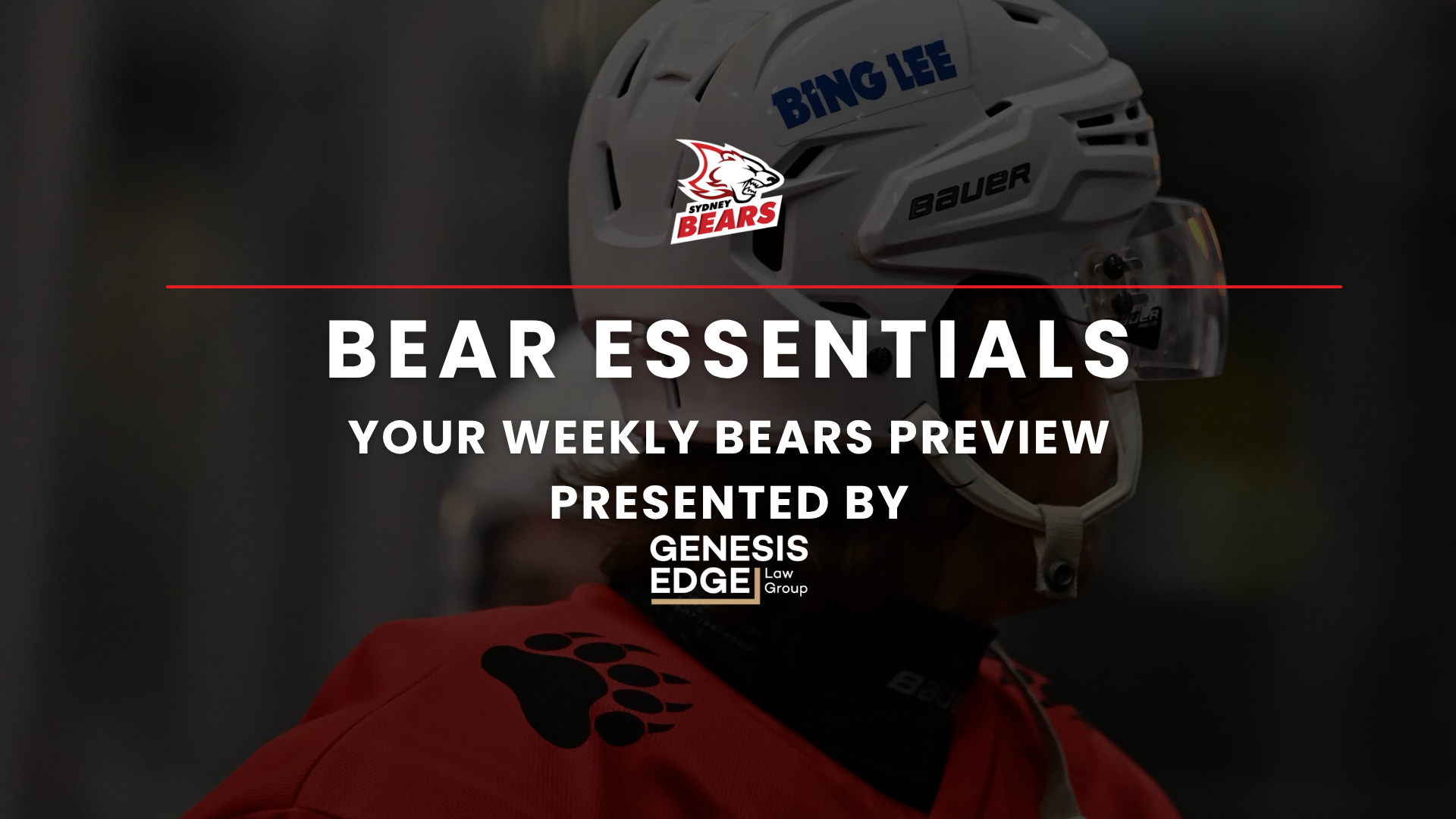 Bear Essentials