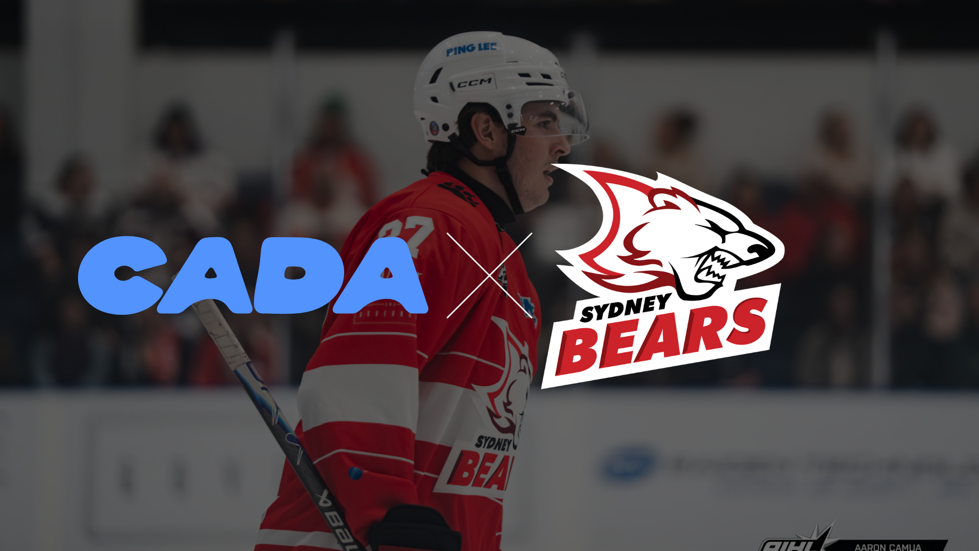 Sydney Bears and CADA Join Forces in Multi-Season Partnership