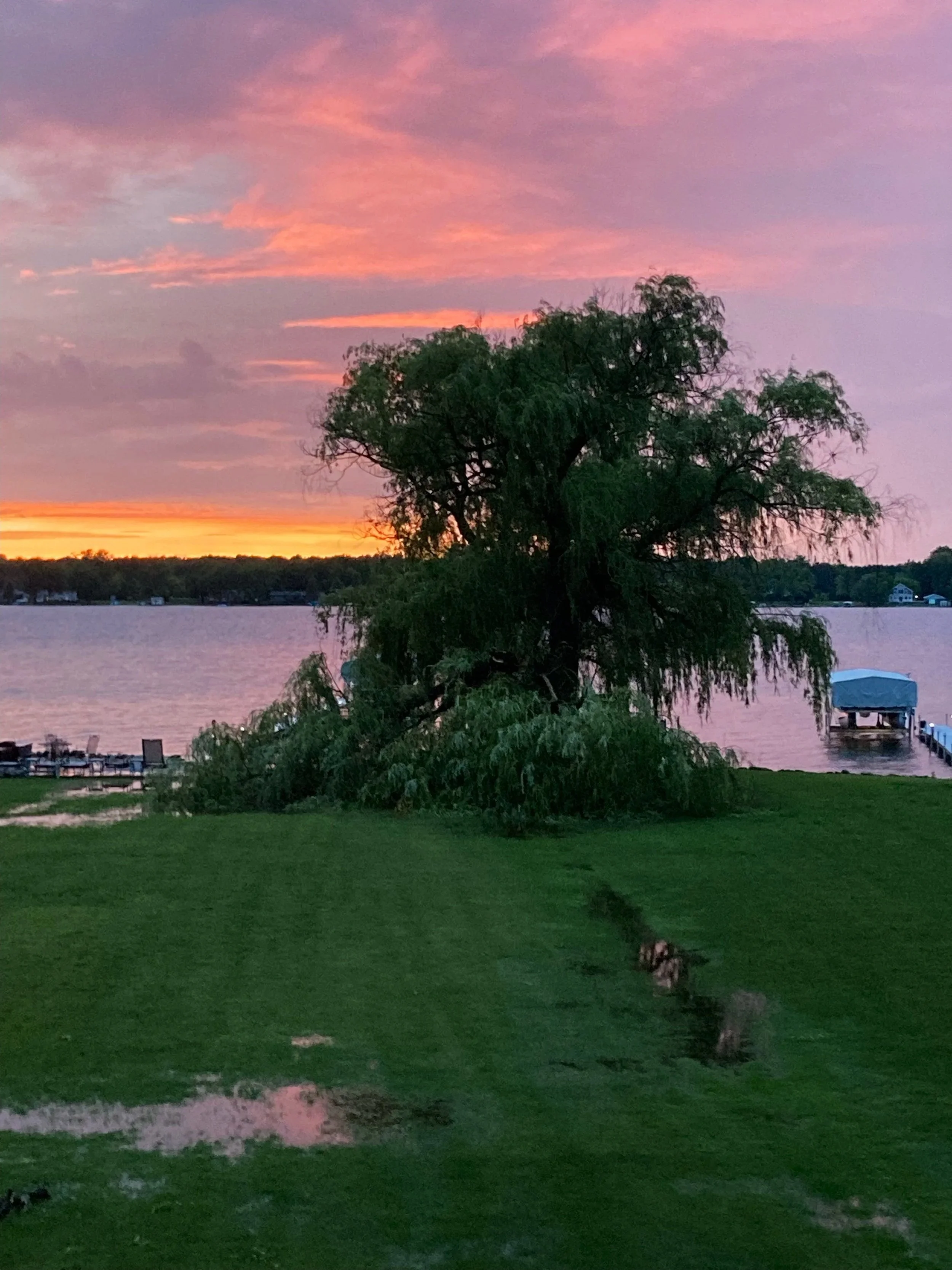 Sunset over a body of water with a large leaning tree in the foreground and a small dock with a boat cover on the right.
