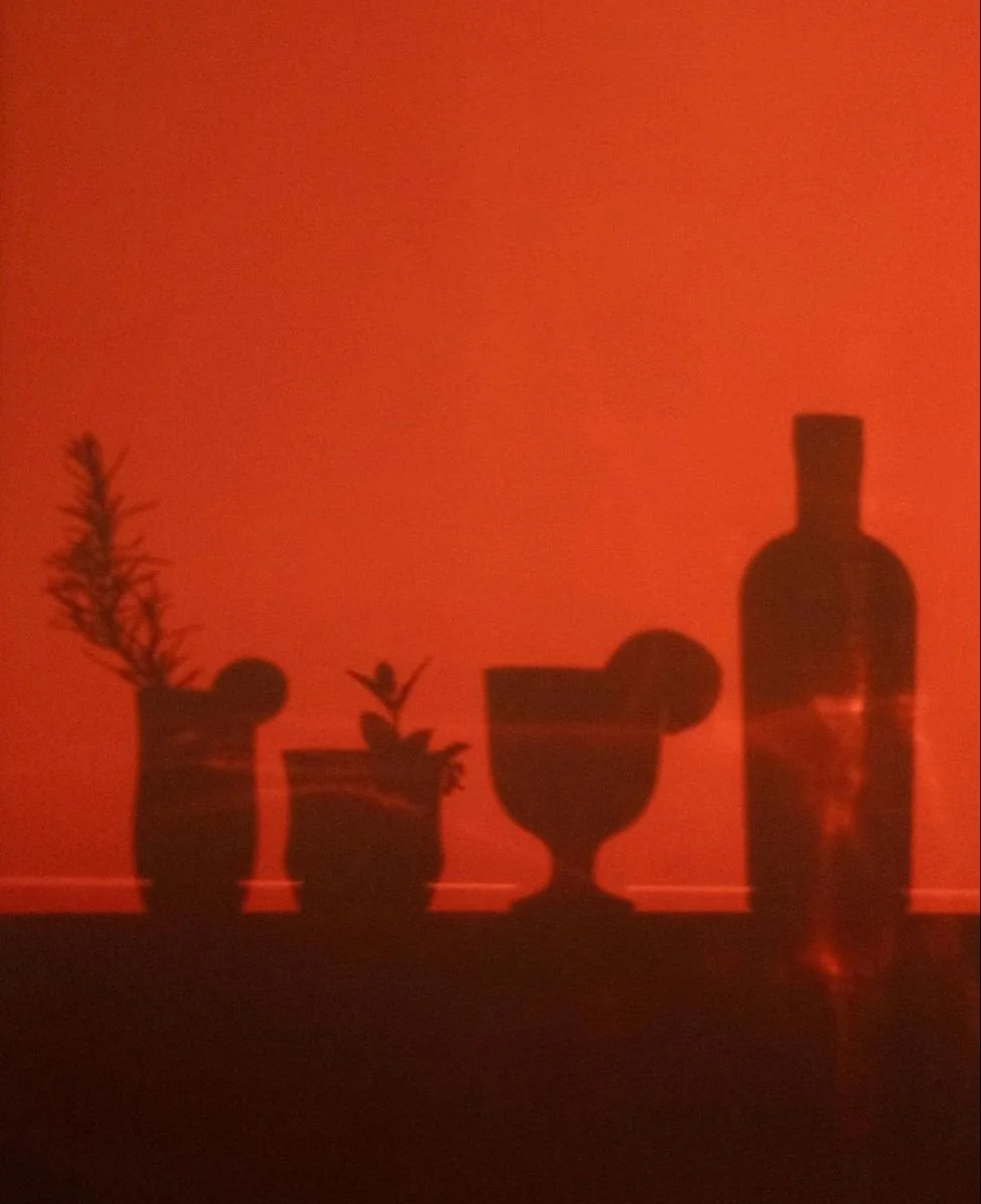 cocktail shadows.jpg (Copy) (Copy)