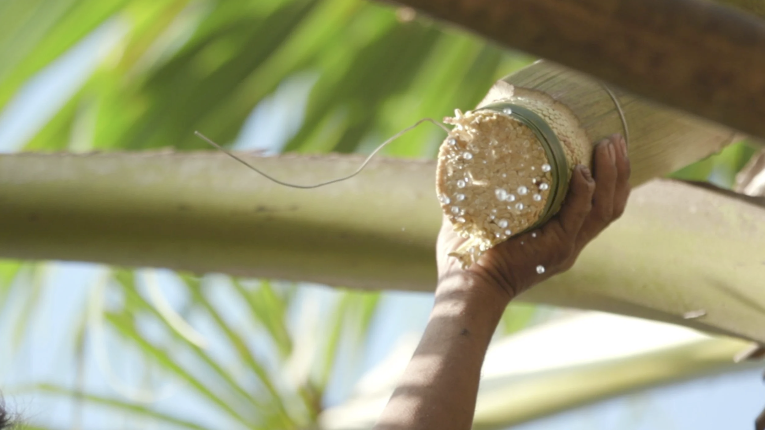 Screenshot 2026-03-09 at 1.11.41 pm.png