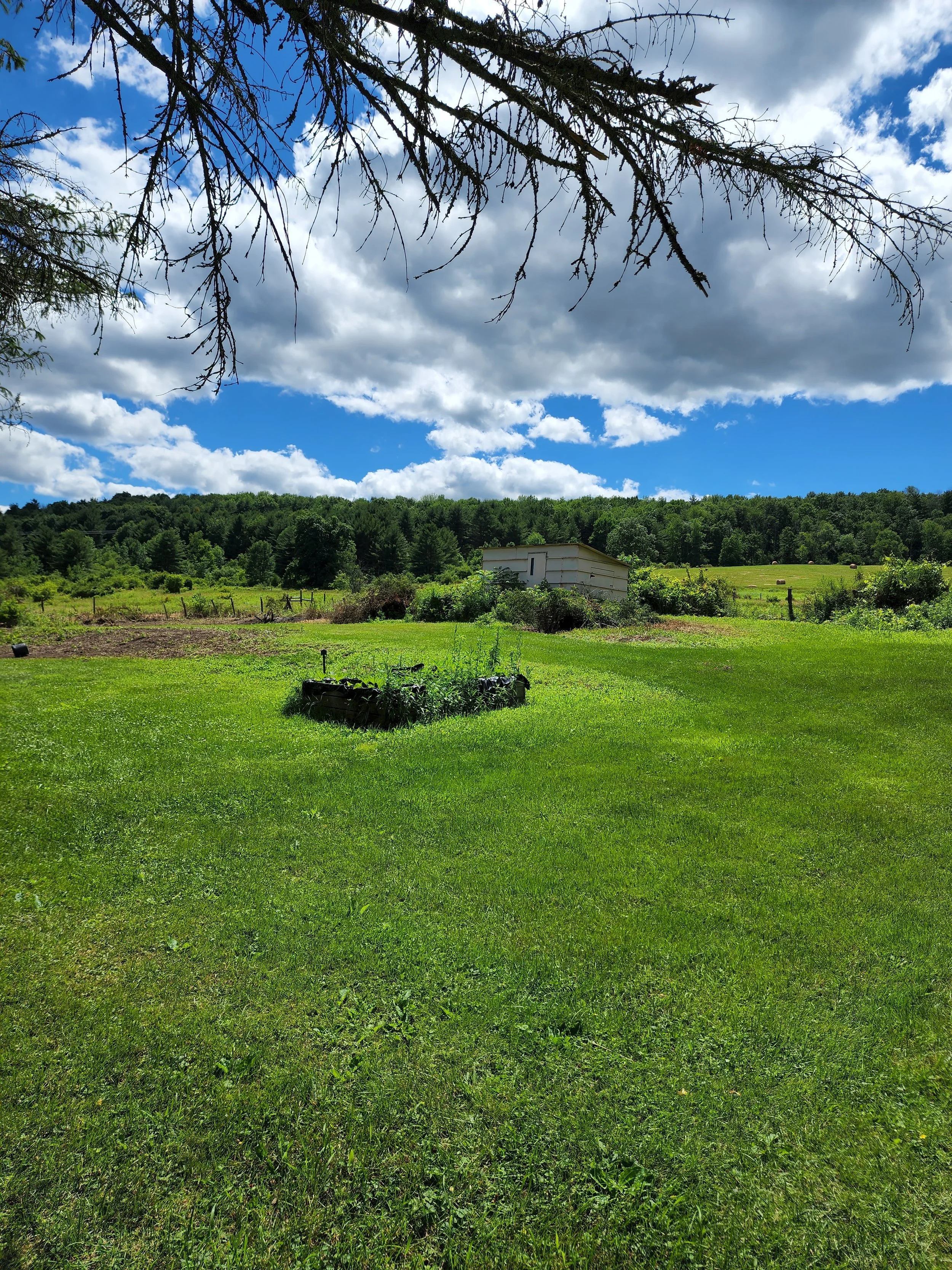 A lush green field with a garden bed in the center, a small white building in the background, surrounded by trees under a partly cloudy sky.
