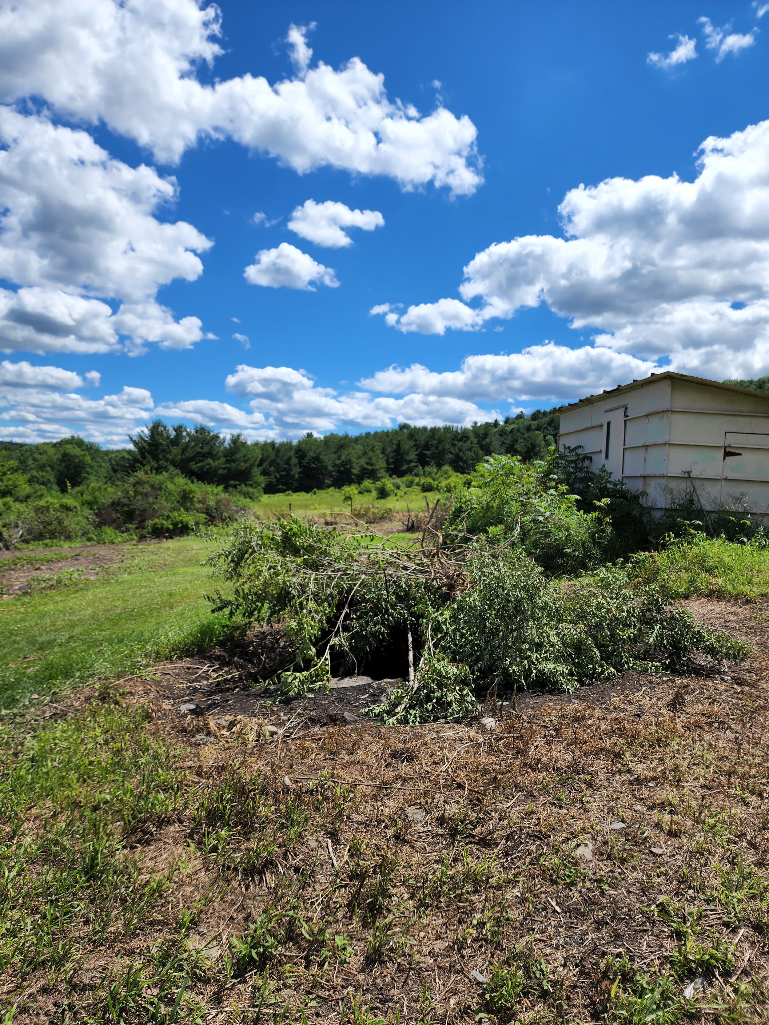 A partially covered hole in the ground surrounded by a fallen tree branch and greenery, with a white shed and a wooded area in the background under a blue sky with scattered clouds.