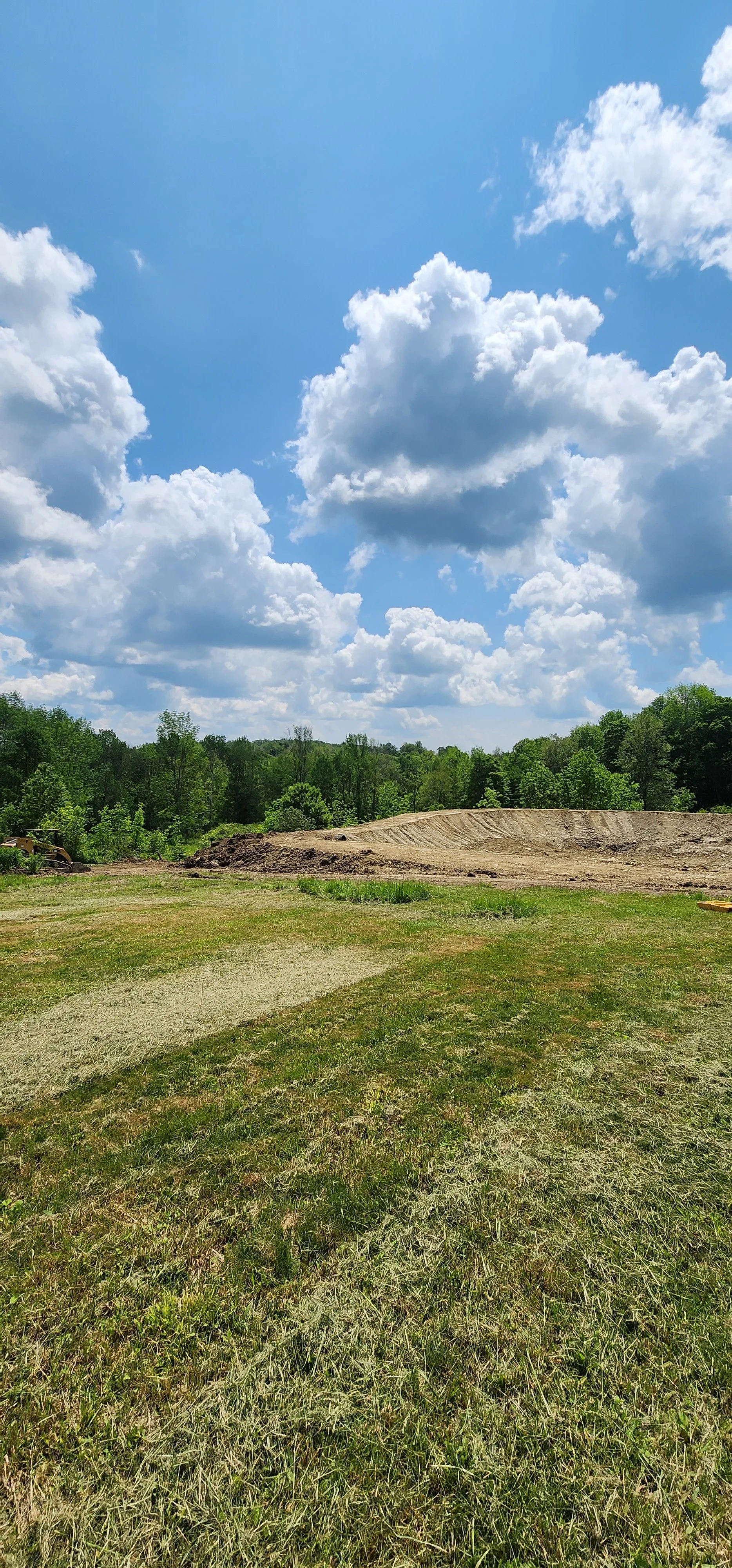 Open field with grass and dirt, surrounded by trees, under a bright blue sky with large white clouds.