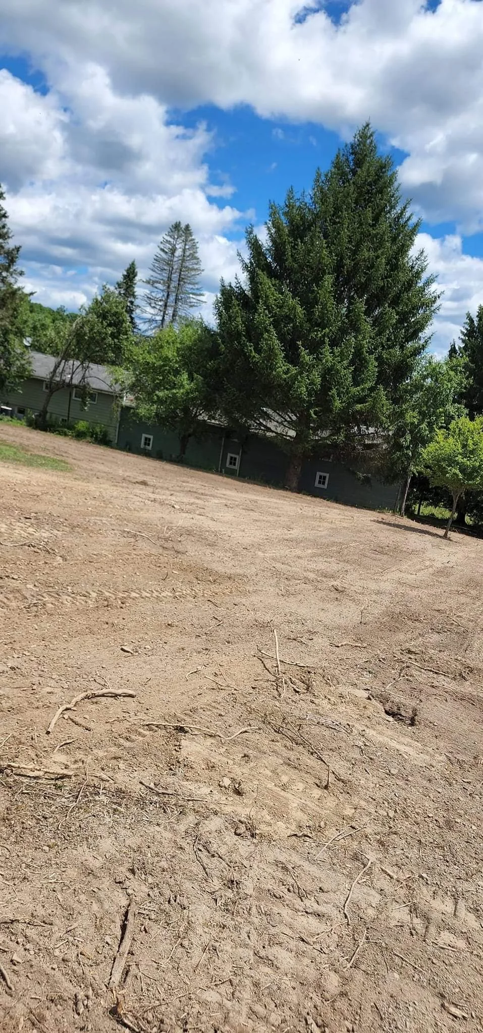 A dirt lot with a large evergreen tree, green house, and a partly cloudy sky.