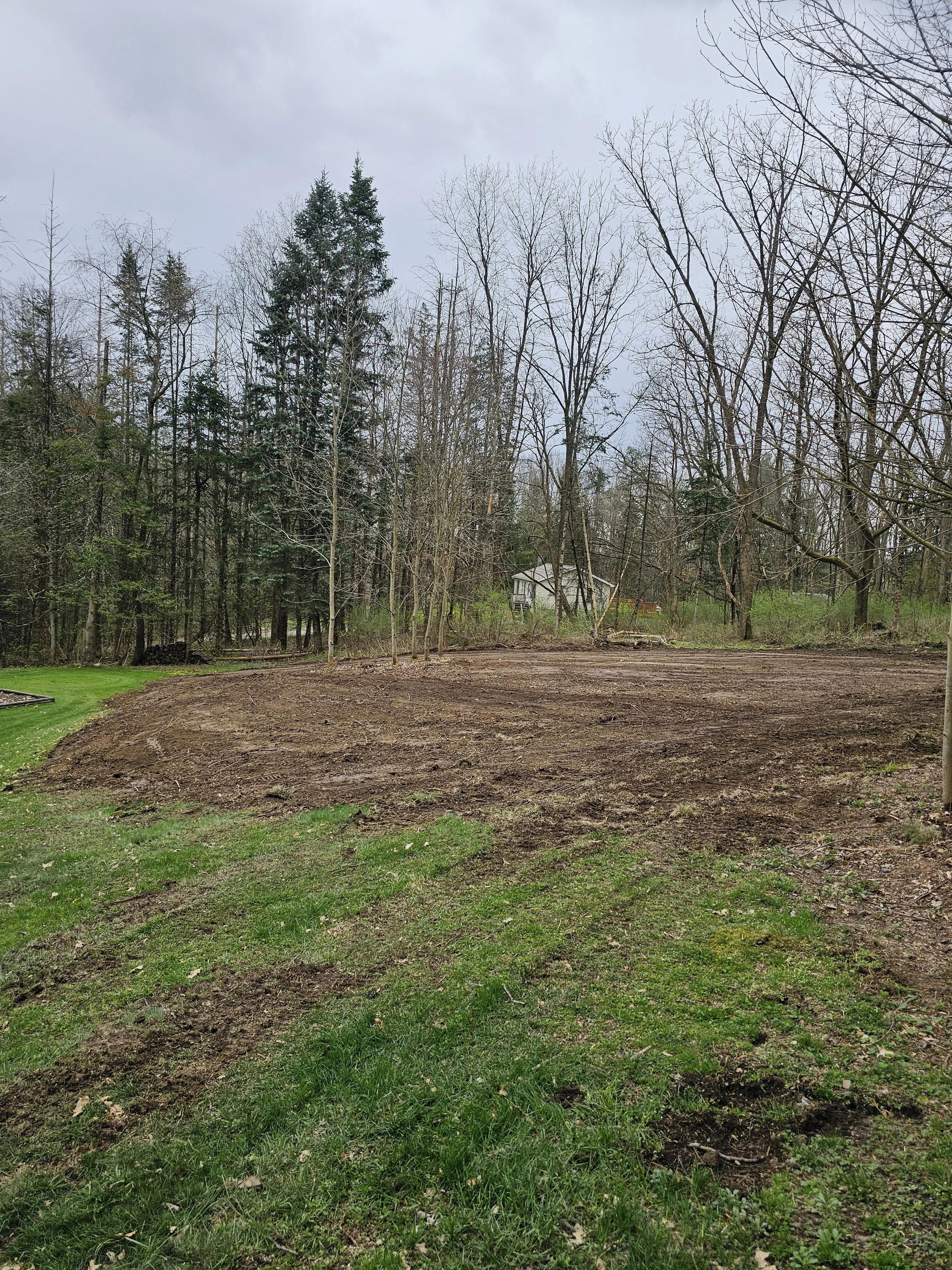A backyard with a patch of green grass and dirt, surrounded by trees, with a small house in the background under a cloudy sky.