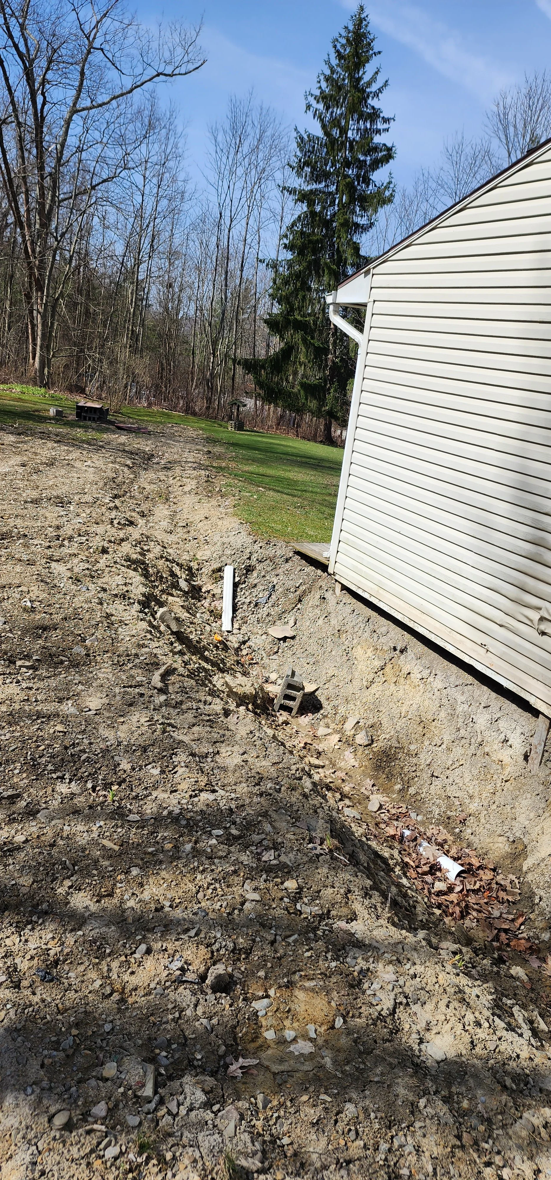 Outdoor view of a house with a white vinyl siding wall on the right, a large evergreen tree, leafless trees in the background, and a dug-up dirt area with construction materials and a white pipe sticking out of the ground.