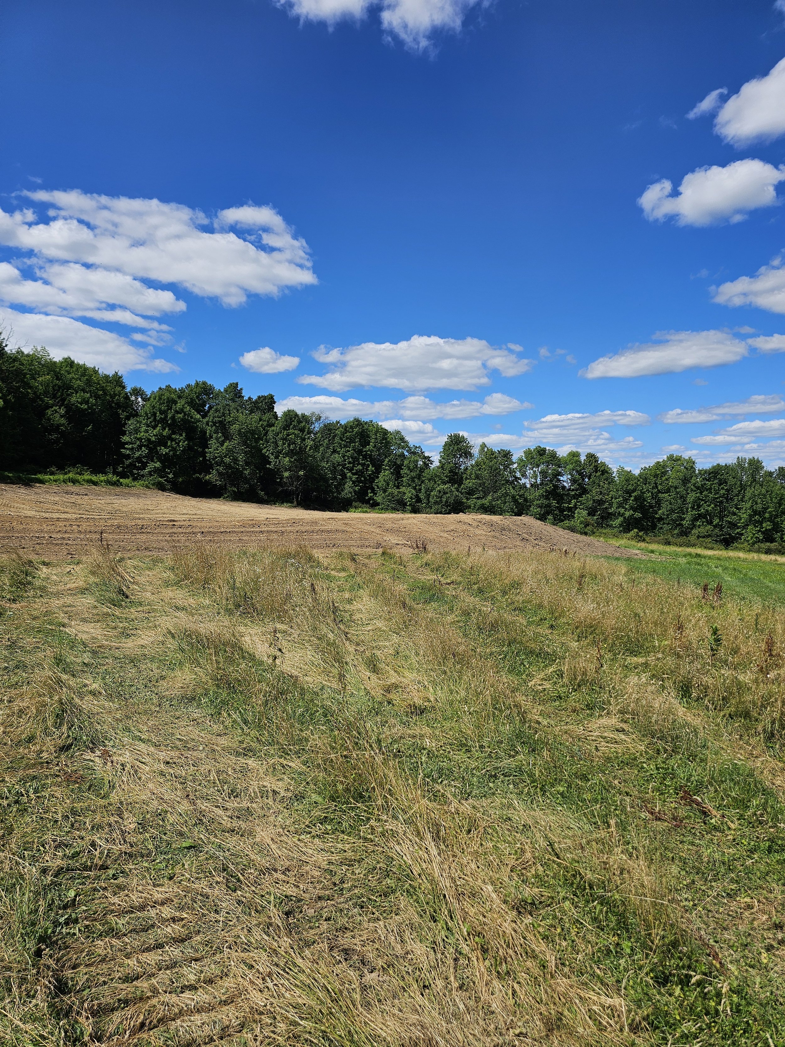 Open field with harvested crops, bordered by trees under a partly cloudy blue sky.