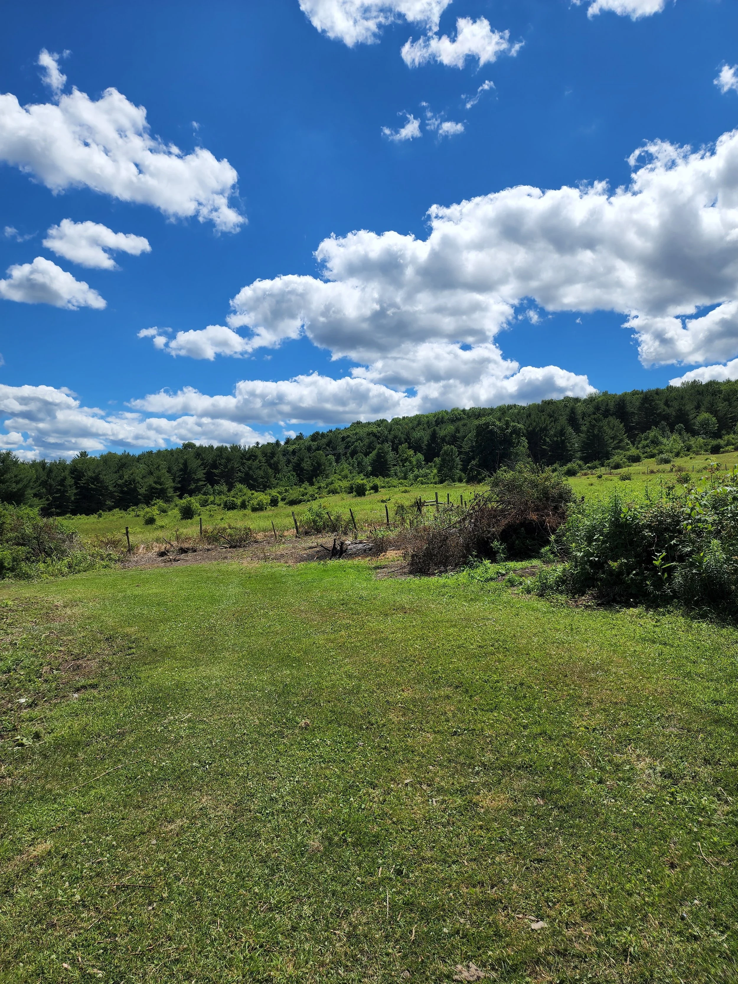 A clear blue sky with scattered white clouds over a grassy field with a fence and a line of trees and a forested hill in the distance.