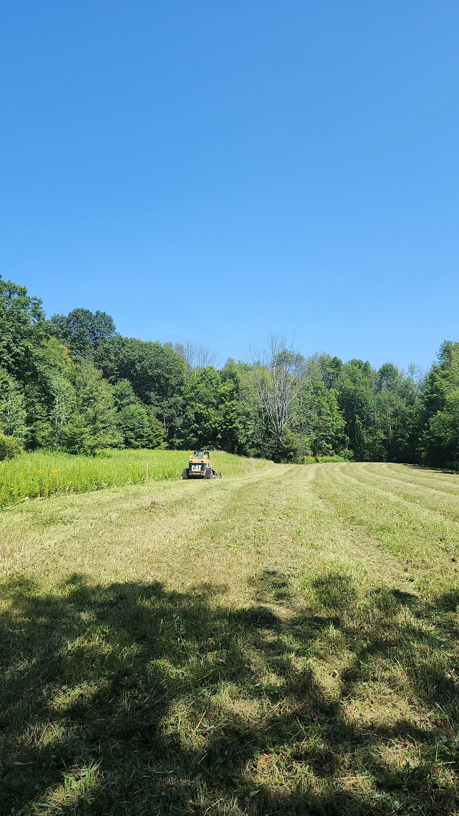 Brush Hogging Field