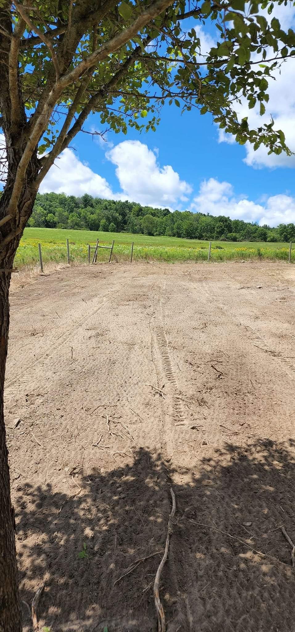 A rural scene with a sandy dirt area in the foreground, a tree with green leaves partially shading the area on the left, and a green field with a line of trees in the background under a partly cloudy blue sky.