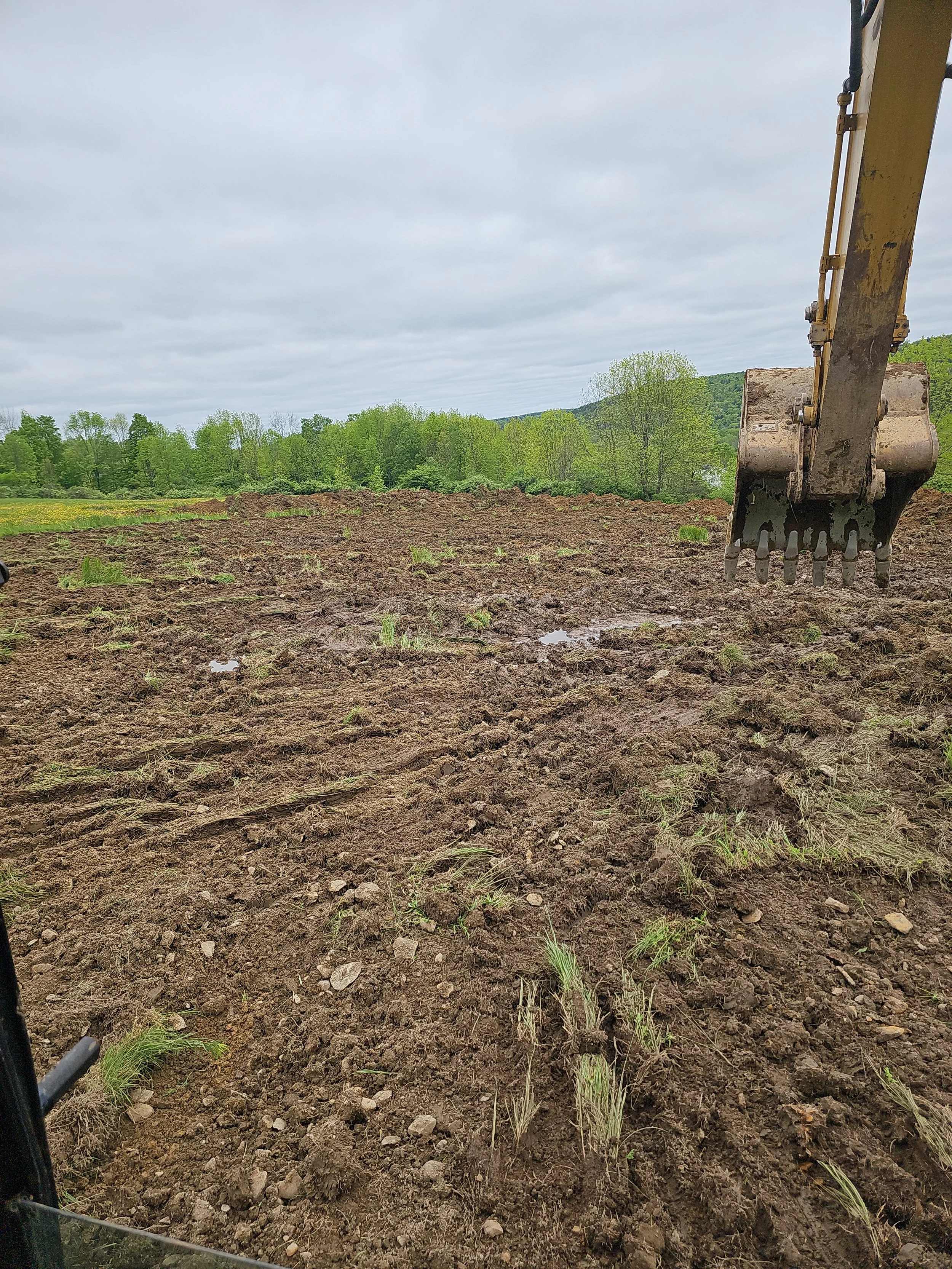 Photo of a dirt field with small plants, taken from inside a vehicle or equipment, showing an excavator arm on the right side, with a cloudy sky and green trees in the background.