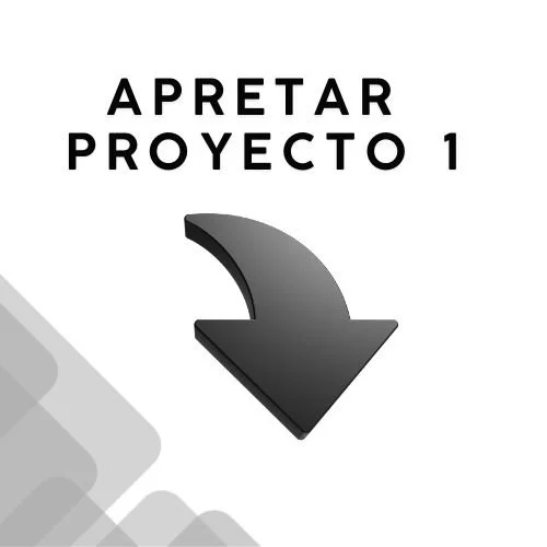 Proyecto uno