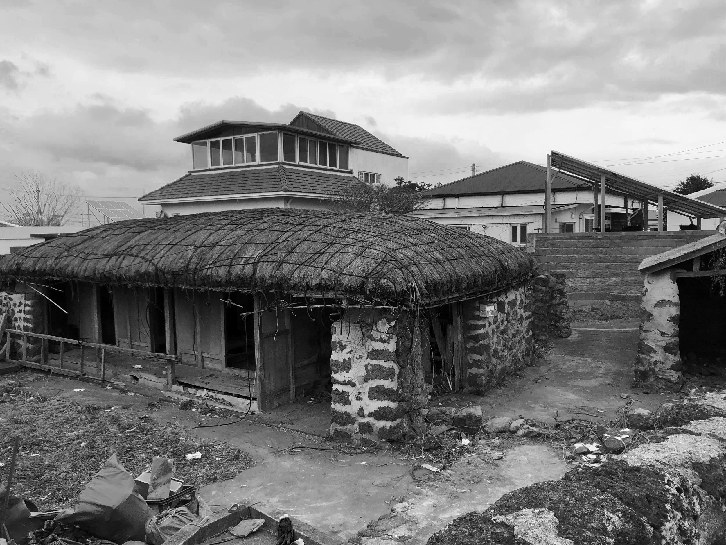 NUUT Aewol 눗 애월