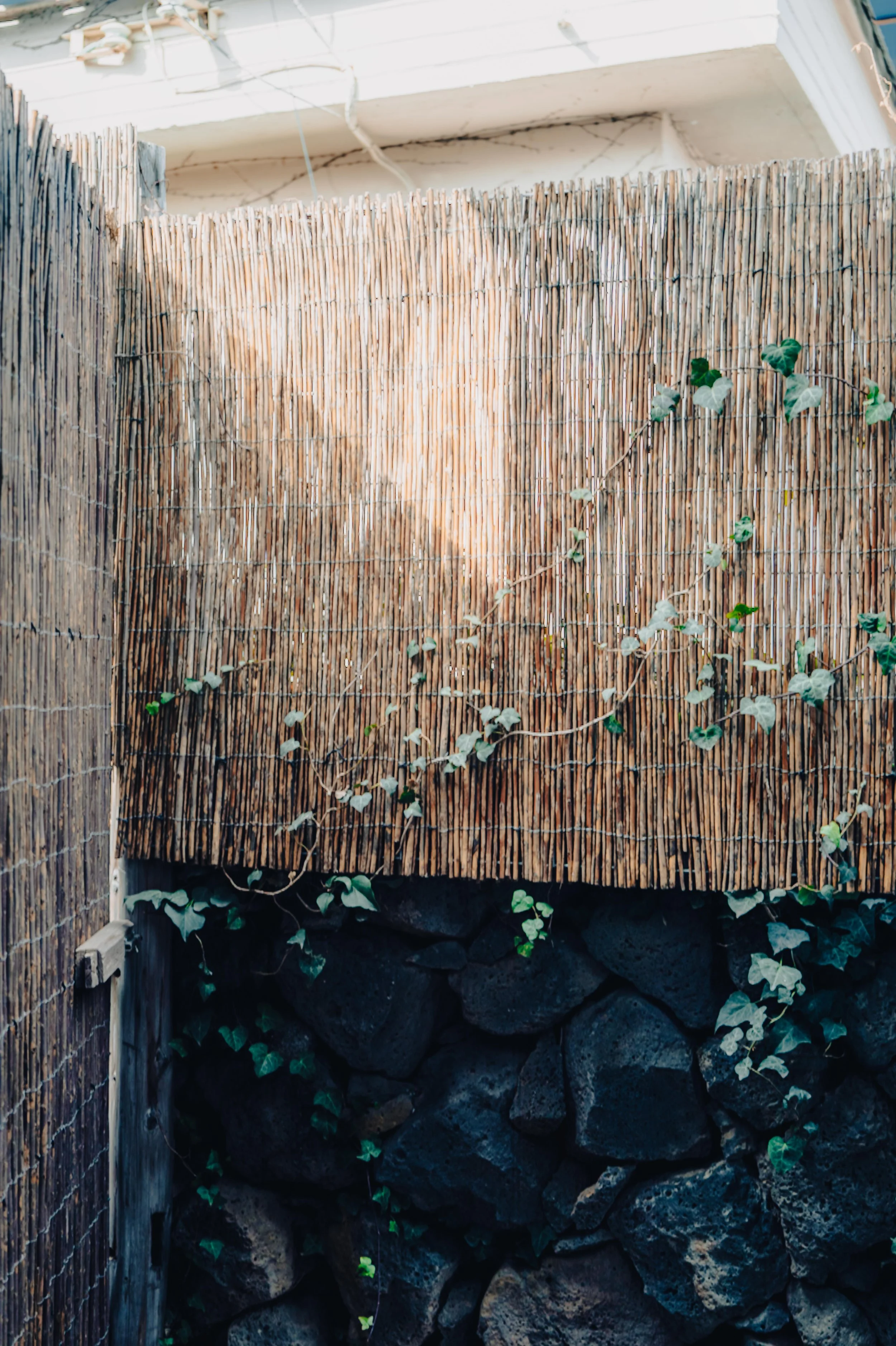 NUUT Aewol 눗애월Wooden privacy fence with climbing ivy and rock wall at the base, part of an outdoor enclosure or patio.