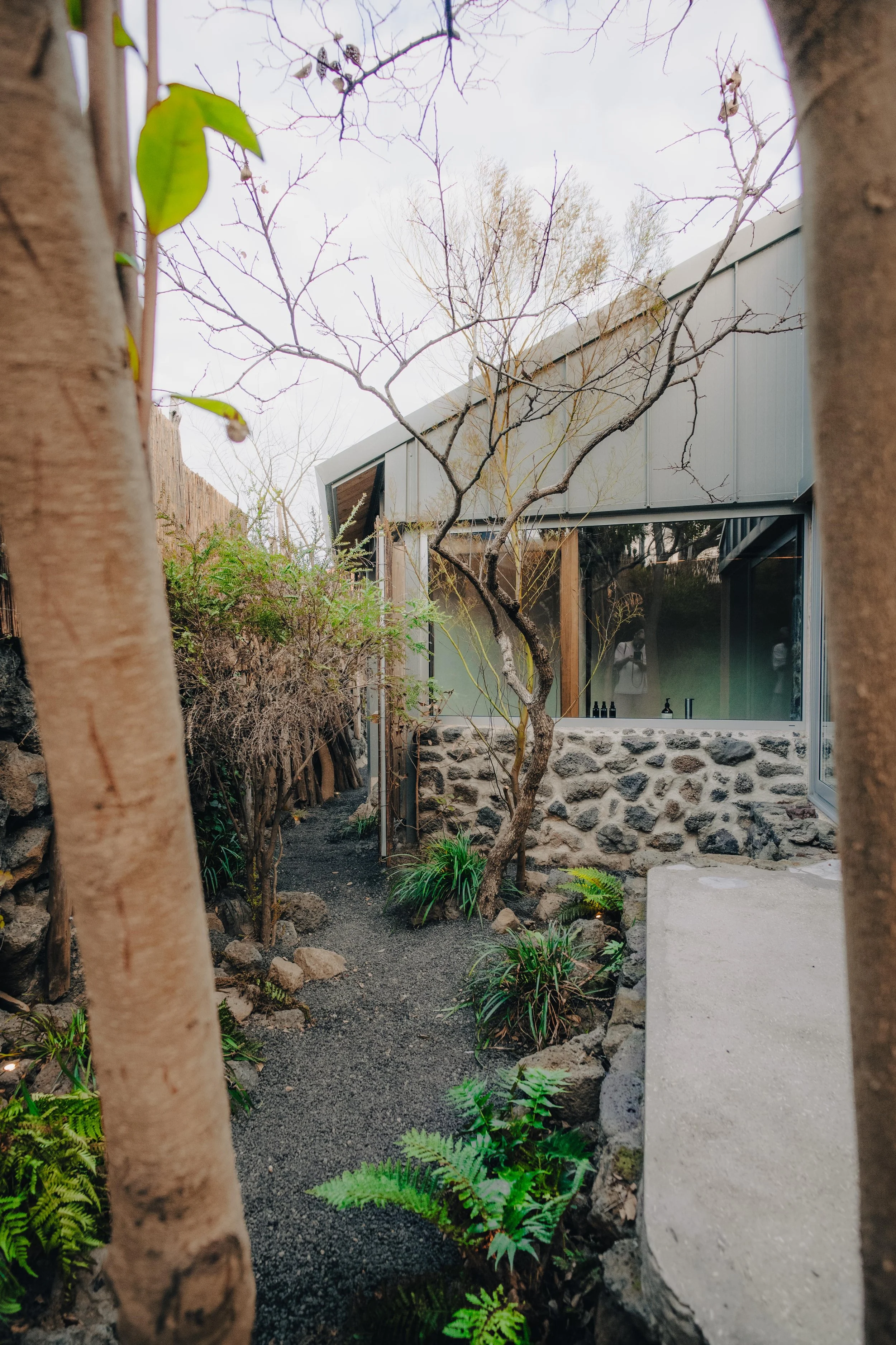 A modern house with a stone foundation, large glass windows, and a sloped roof is seen through a garden path with trees and plants.