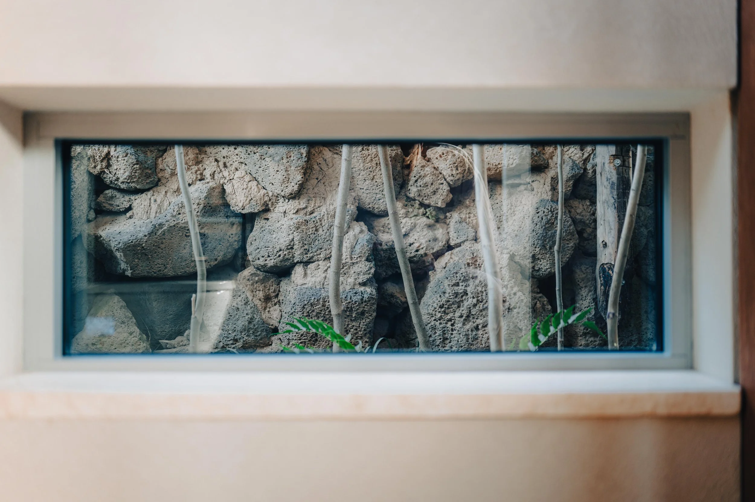 NUUT Aewol 눗애월 A window looking into a rock garden with large rocks and some green plants.