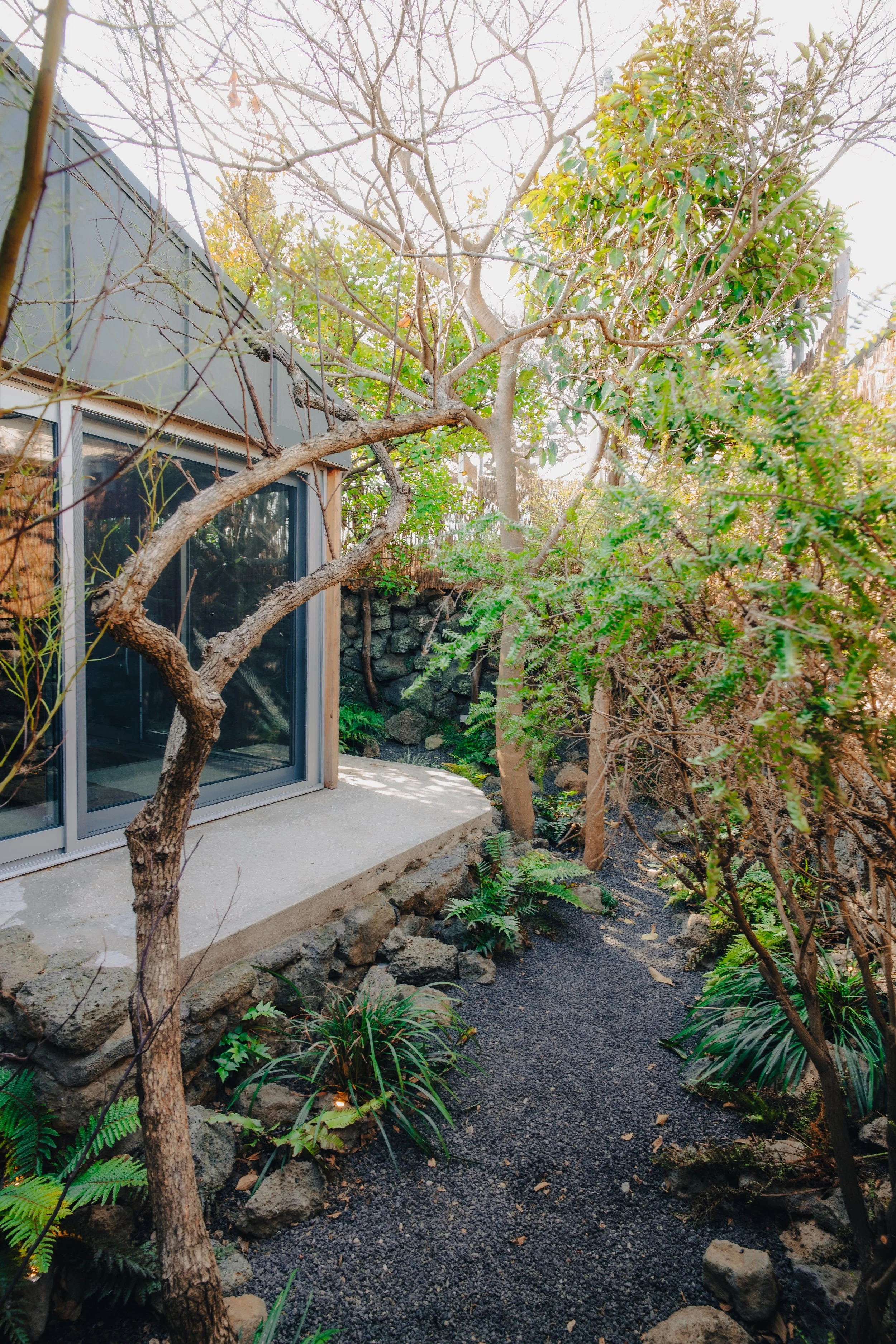 NUUT Aewol 눗애월 A narrow garden path lined with rocks and plants, with a modern glass door on a building on the left and trees and greenery on either side.