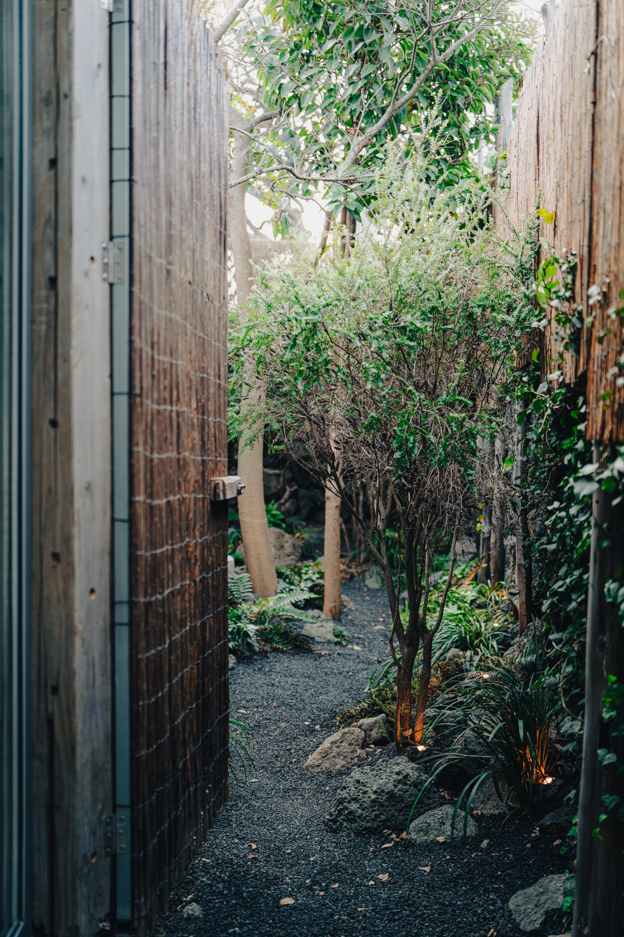 NUUT Aewol 눗애월 A narrow garden pathway lined with dark gravel, surrounded by green plants, trees, and a wooden fence on both sides.