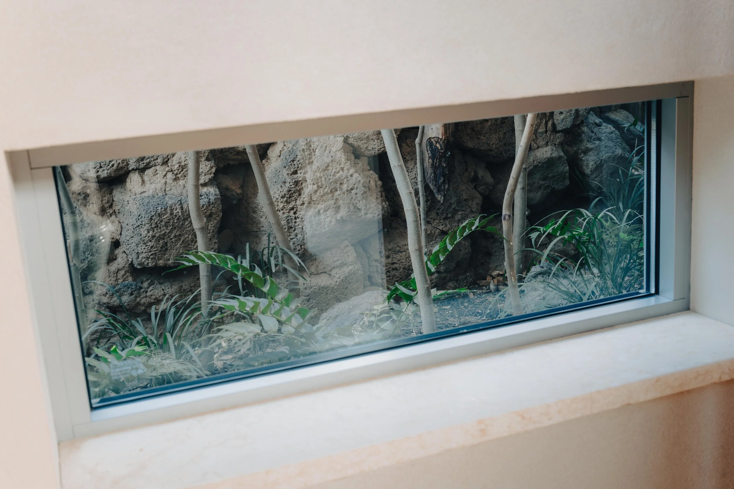 NUUT Aewol 눗애월 A narrow rectangular window with a view of rocks and green plants outside.
