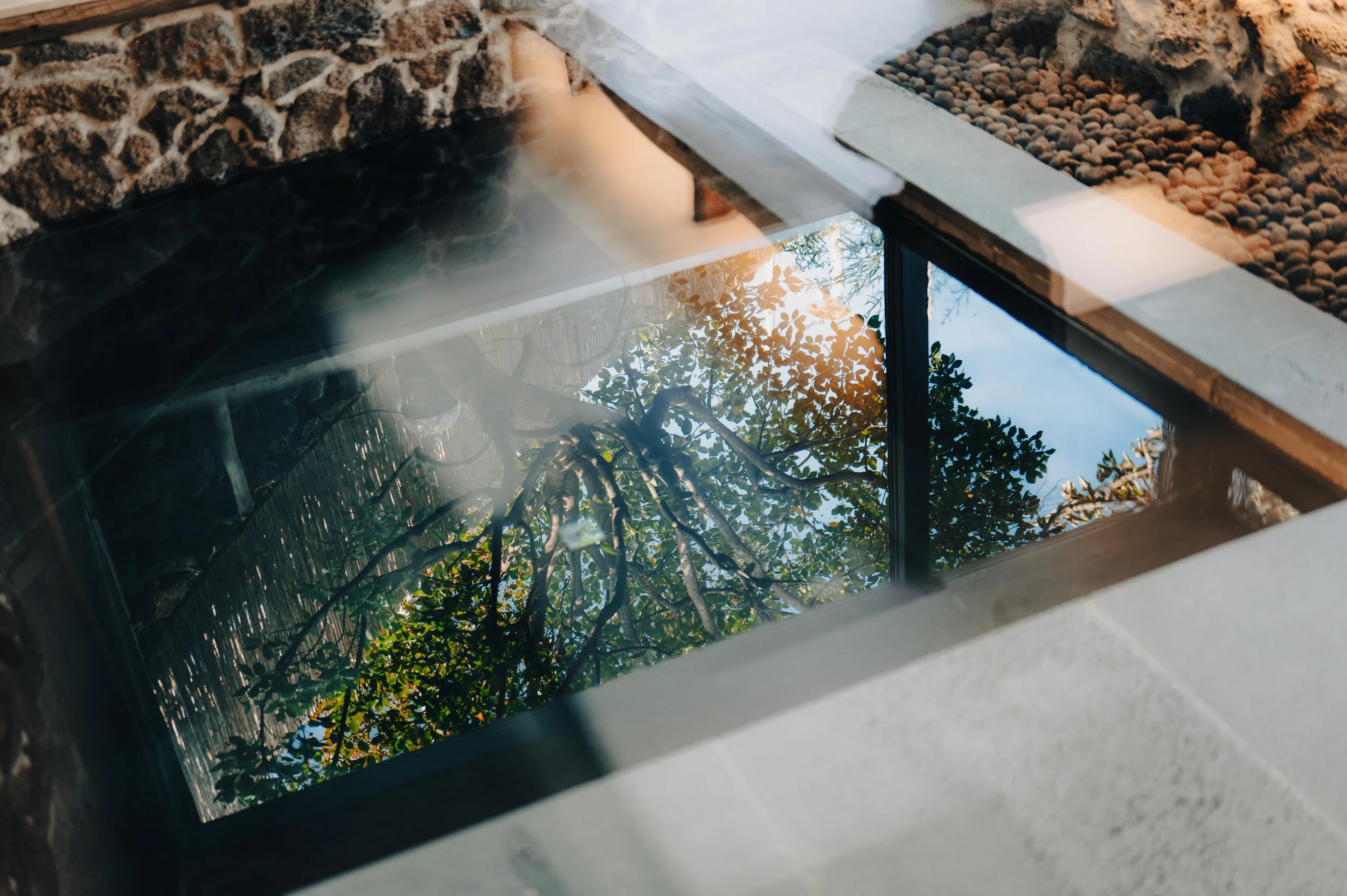 Reflection of tree and blue sky in a glass window on a stone ledge.