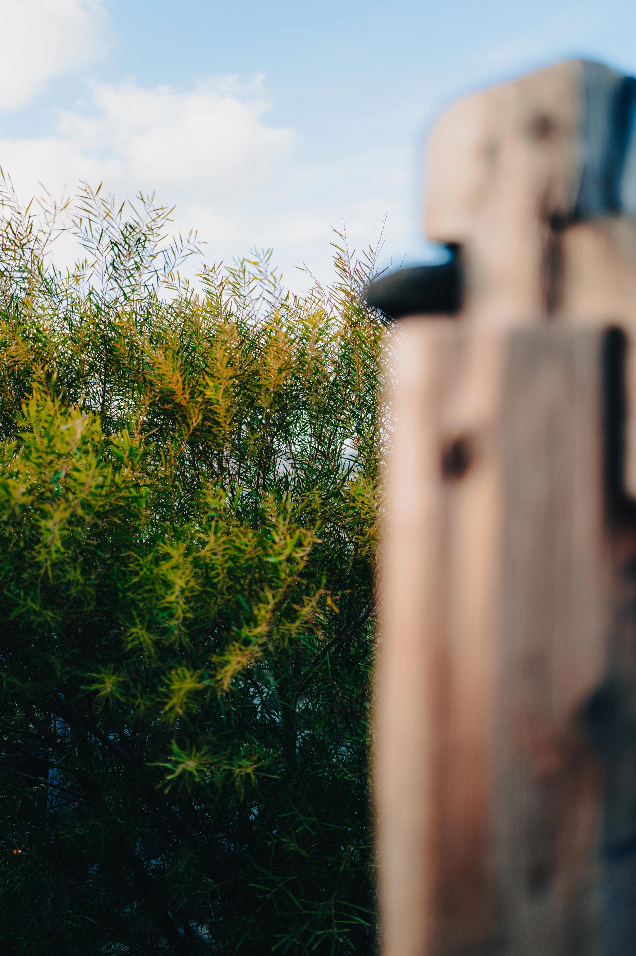 NUUT Aewol 눗애월 Close-up of a wooden fence with a green bush and a partly cloudy sky in the background.