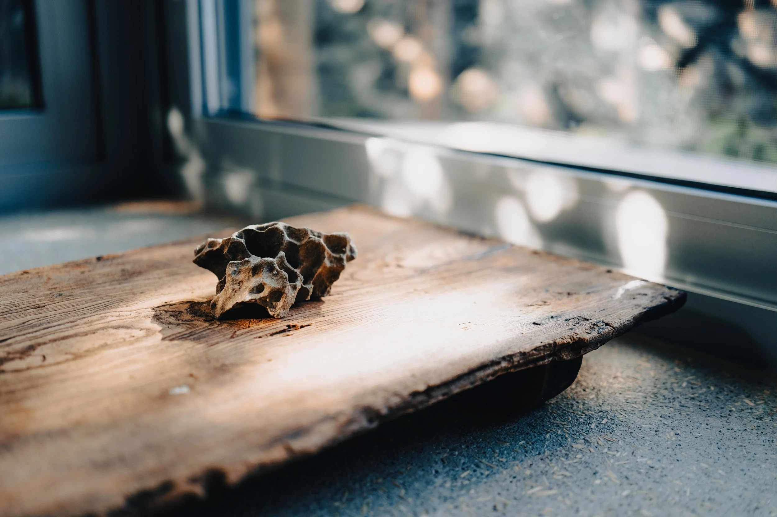 A small, porous, dark-colored stone on a wooden surface near a window with sunlight streaming in.