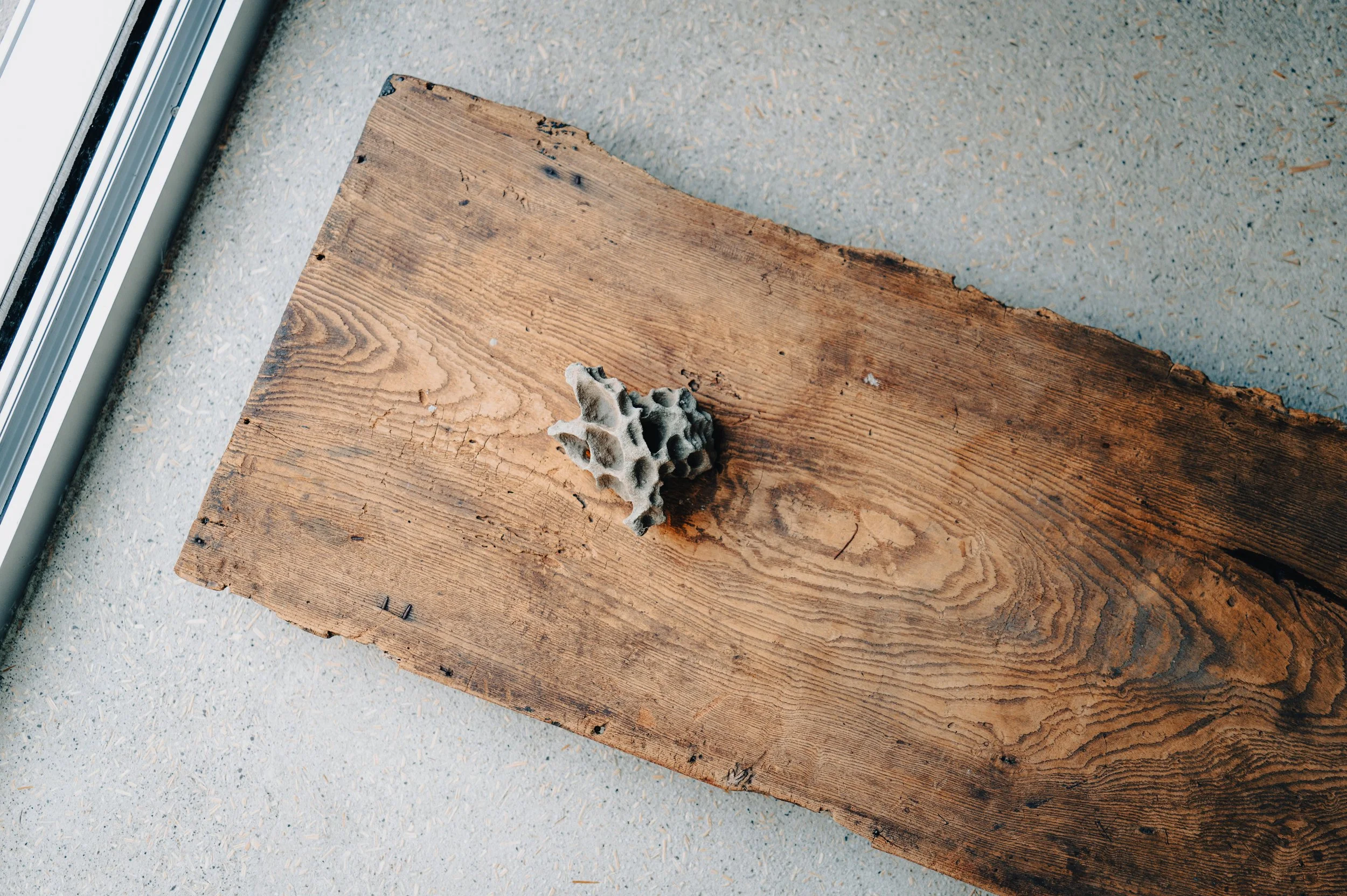 A piece of wood and a piece of coral on a wooden surface next to a window