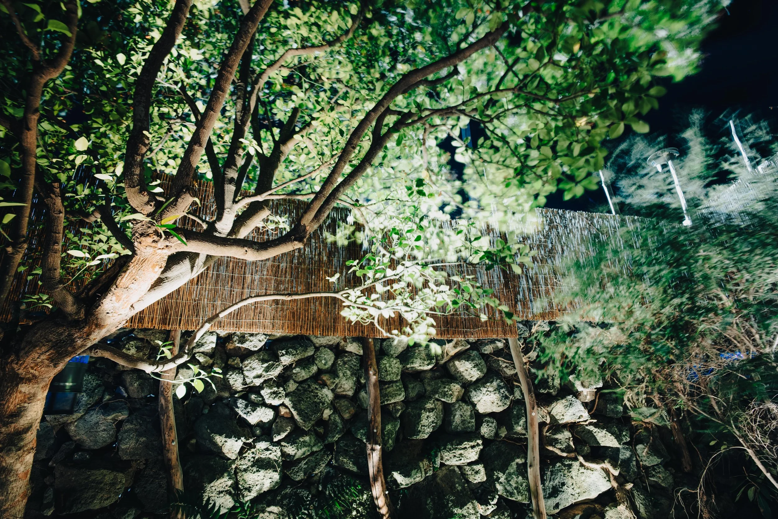 NUUT Aewol 눗애월 Nighttime outdoor scene with illuminated tree with green leaves, a bamboo fence, and rocks in the background.