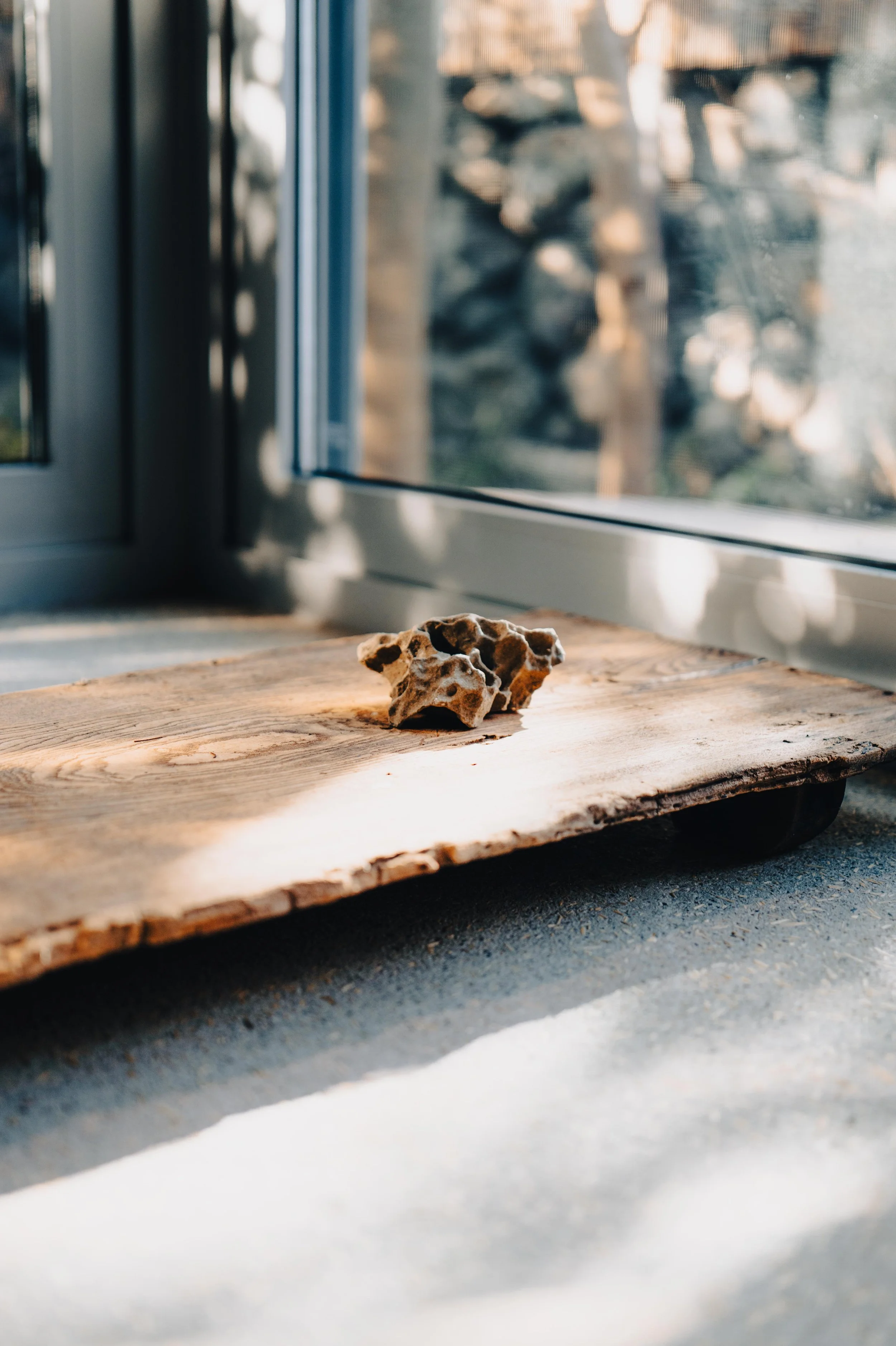 A piece of wood with a small, porous rock on top, placed on a wooden surface near a window with sunlight and blurred outdoor scenery.