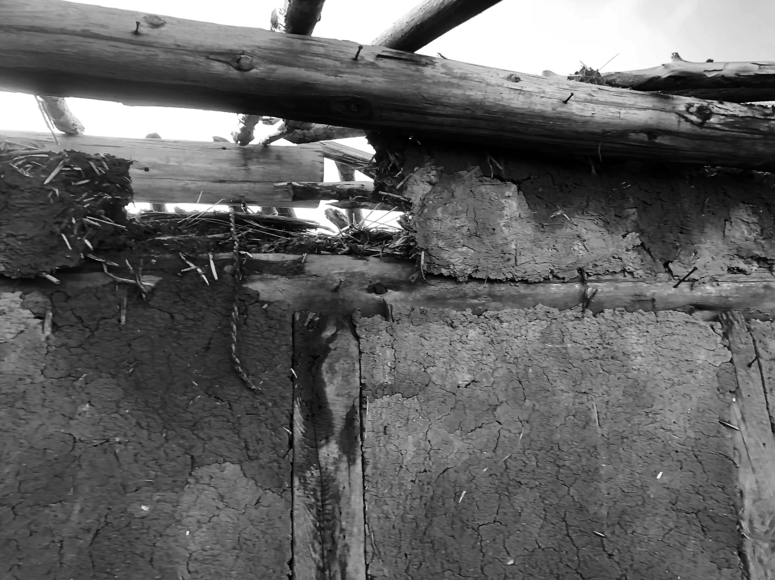 NUUT Aewol 눗 애월