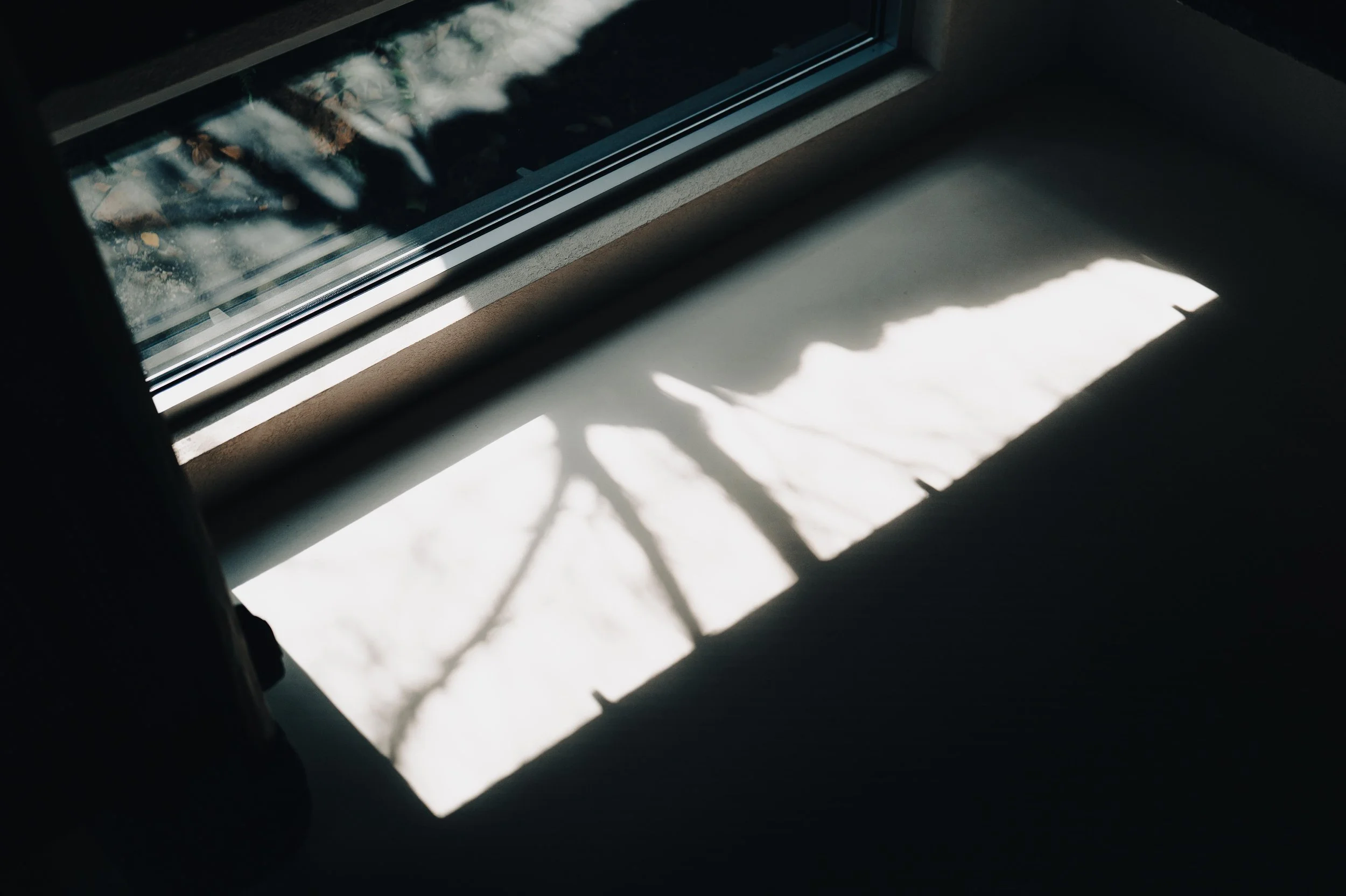 NUUT Aewol 눗애월 Shadow of a tree on a windowsill with sunlight streaming through the window.