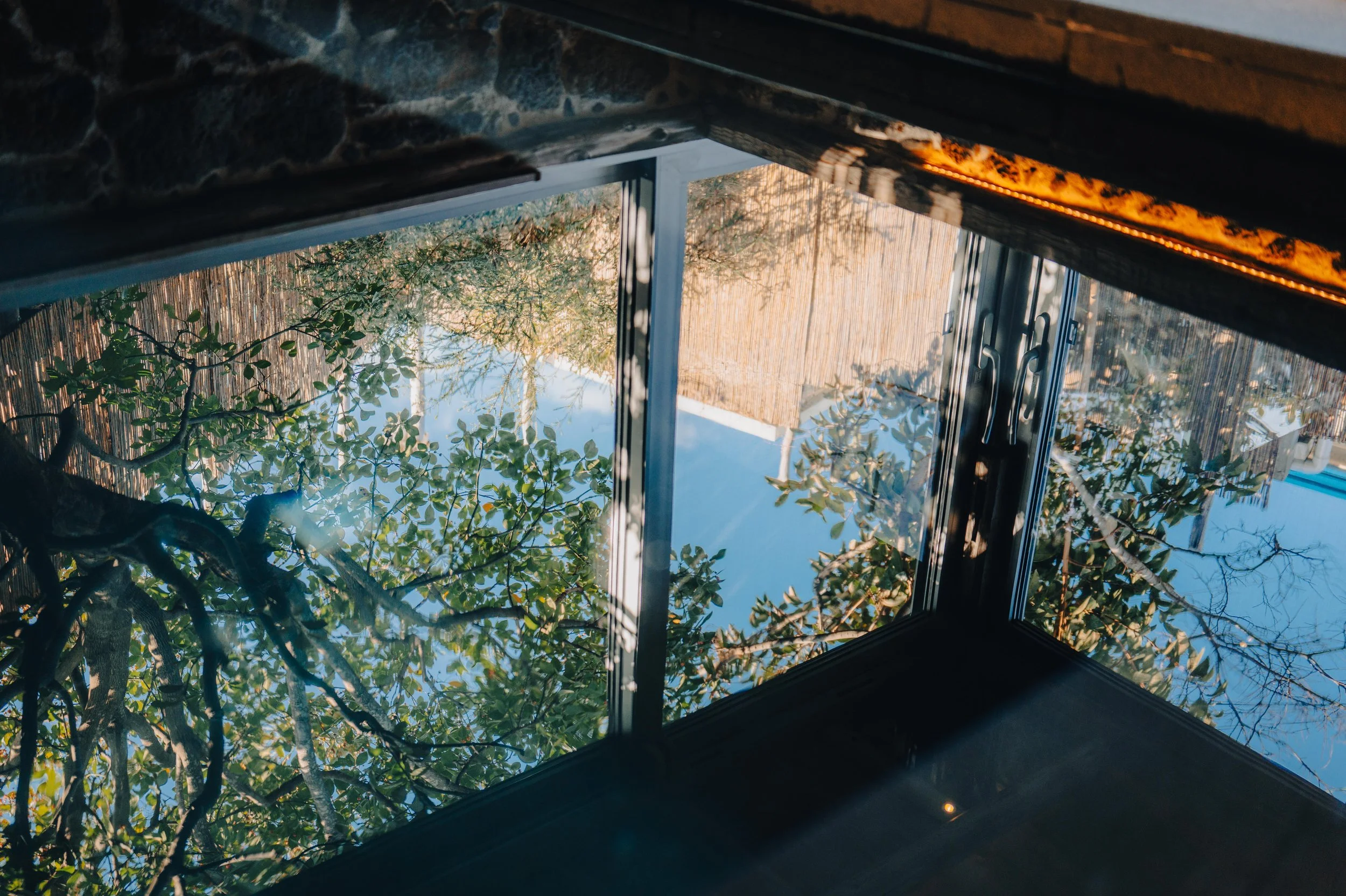 Looking up through the glass ceiling of a house showing trees and the sky outside.