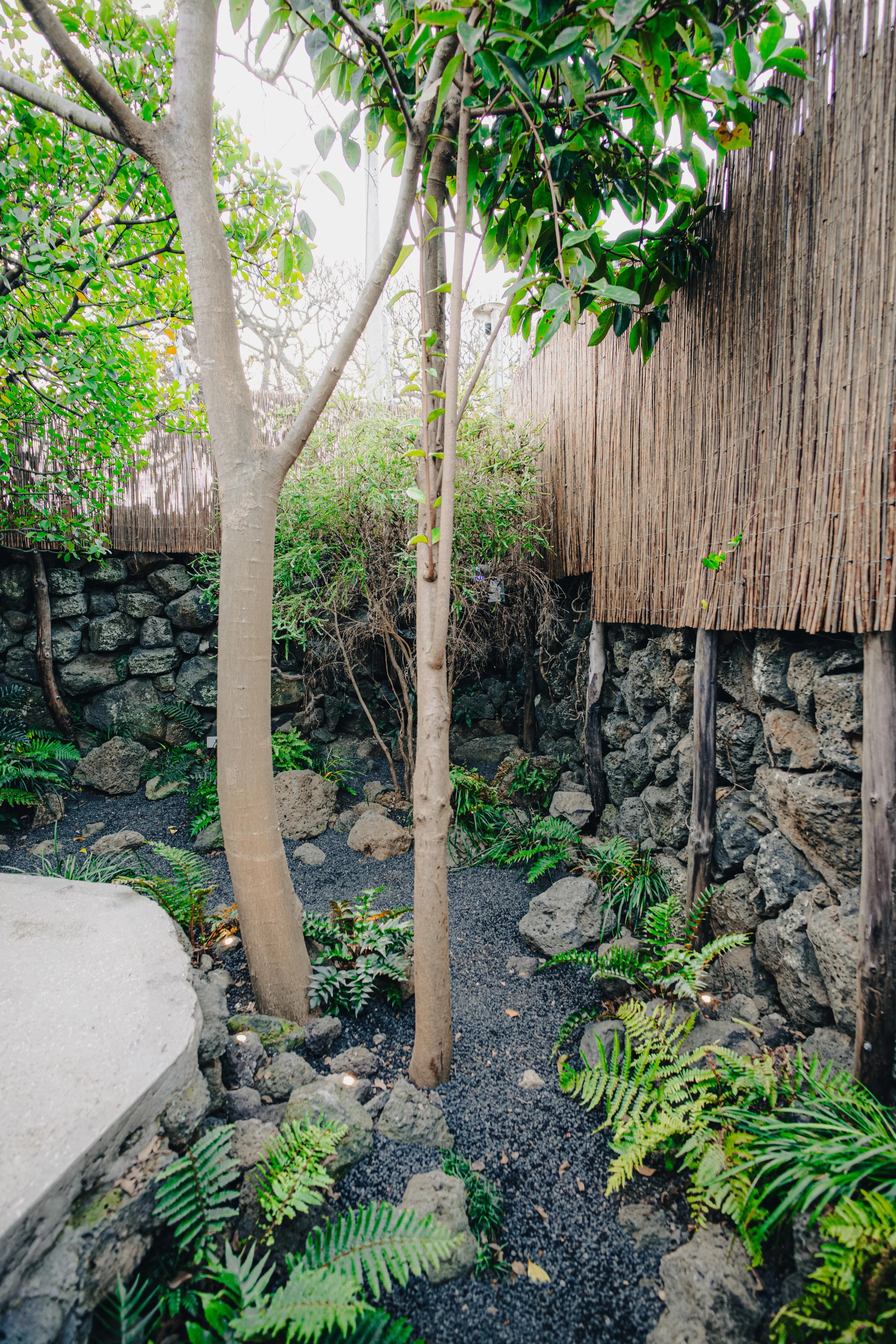 A small garden with trees, ferns, rocks, and a stone pathway, surrounded by a wooden and stone fence.
