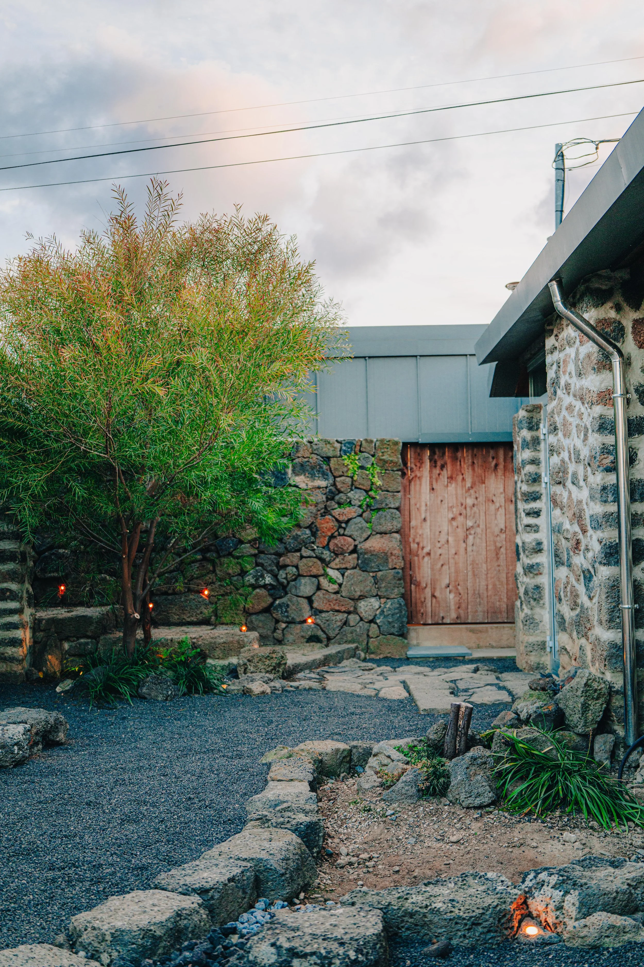 NUUT Aewol 눗애월 A backyard with a tree on the left, a stone wall and a wooden gate in the background, and a stone and gravel path with some plants and small lights in the foreground.