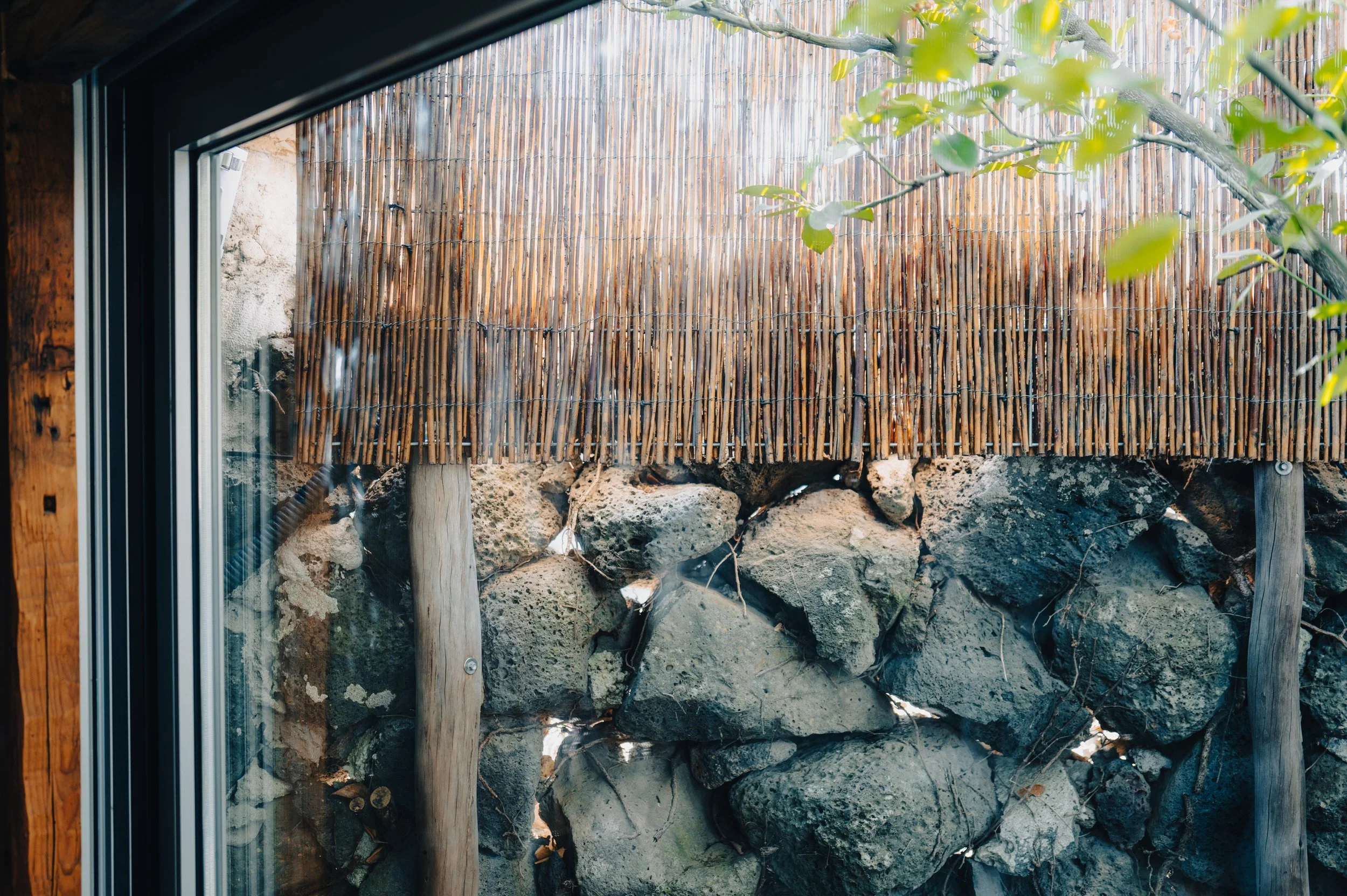 View through a window showing a yard with a bamboo fence, rocks, tree trunks, and green leaves.