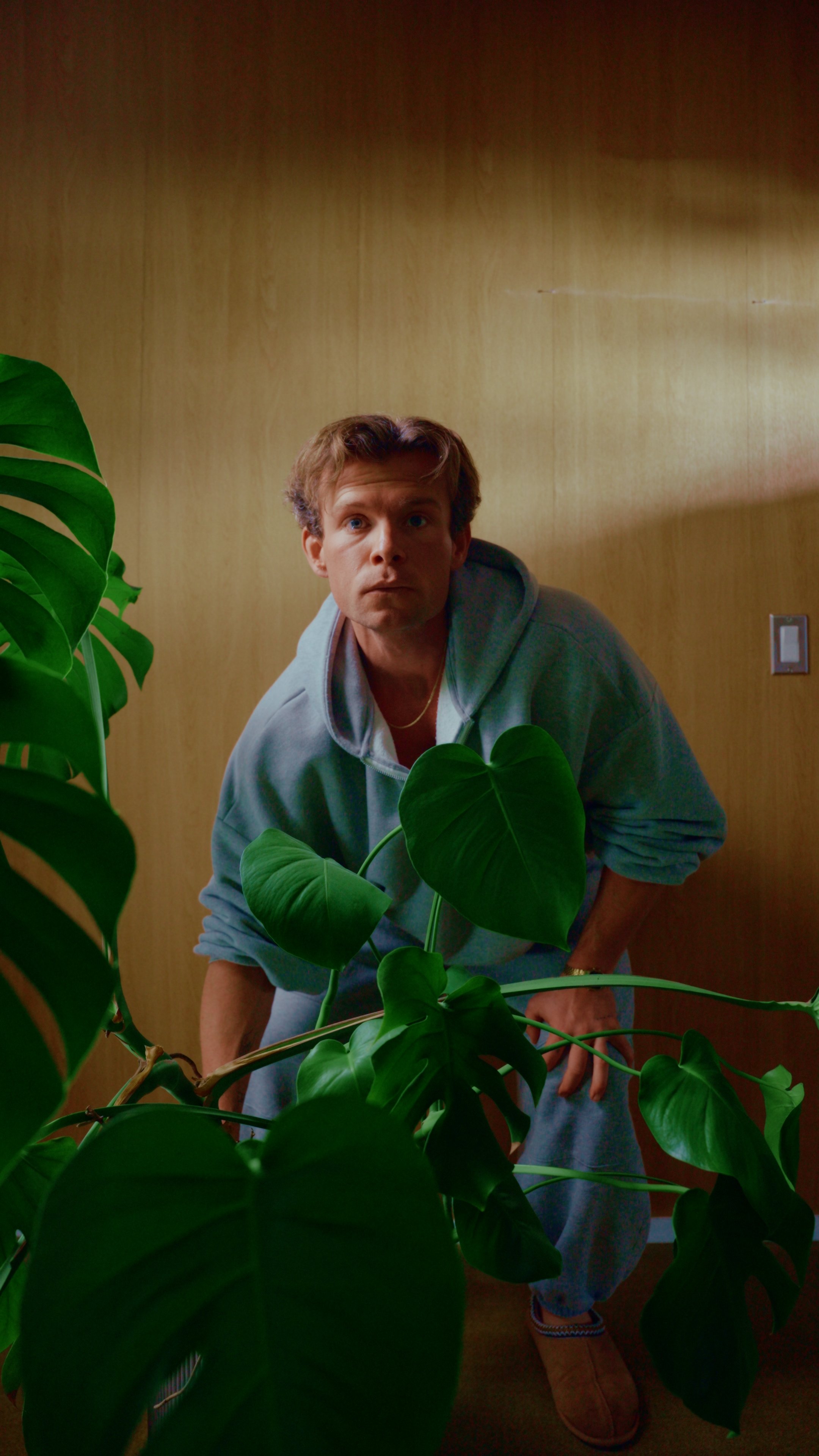 Dinosaurs Didn't Have Purpose